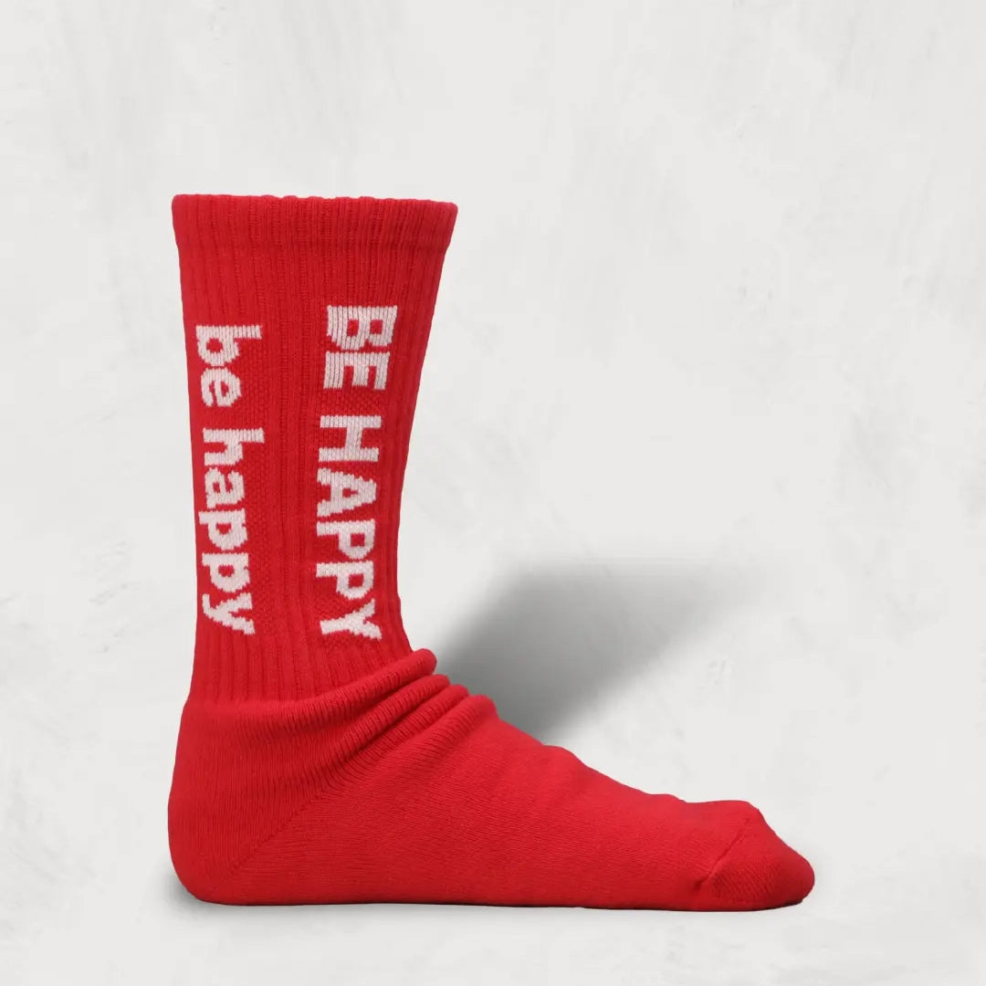 Pile Socks | Best Wishes | Color:4 Colors BNBSW-53【DECKA QUALITY SOCKS_デカクオリティソックス】【DECKA BRÚ NA BÓINNE】【SHOWATABÉ】【ネコポス選択可能】