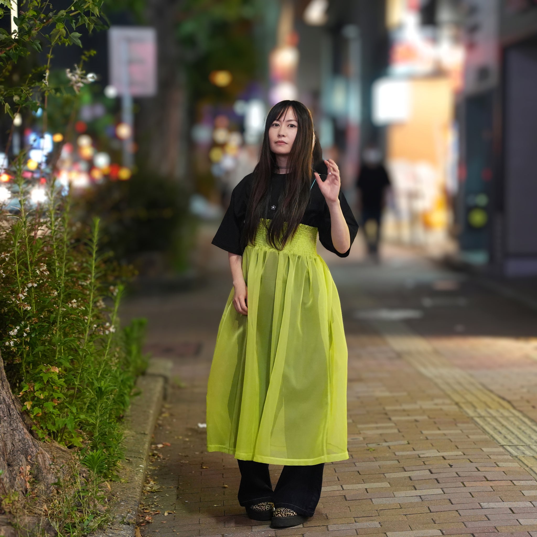 ORGANDY SHEER LAYERED DRESS – Green | HCAE