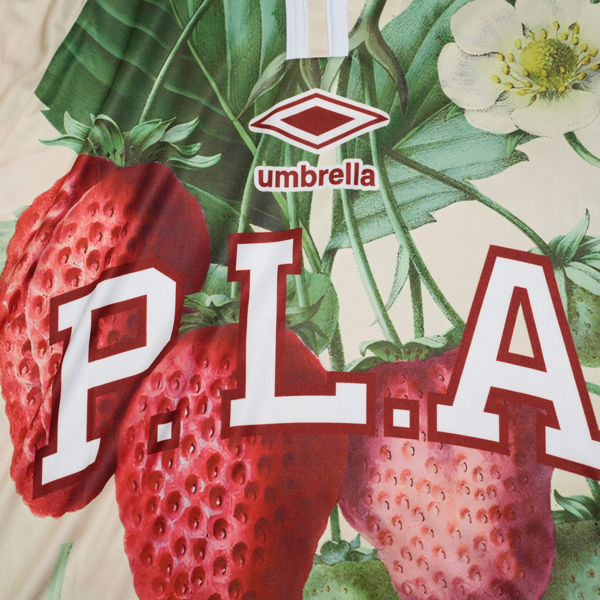 Pla25sst11_Print | Strawberry jersey | Color:Print【PLATEAU STUDIO_プラトー スタジオ】【archive】