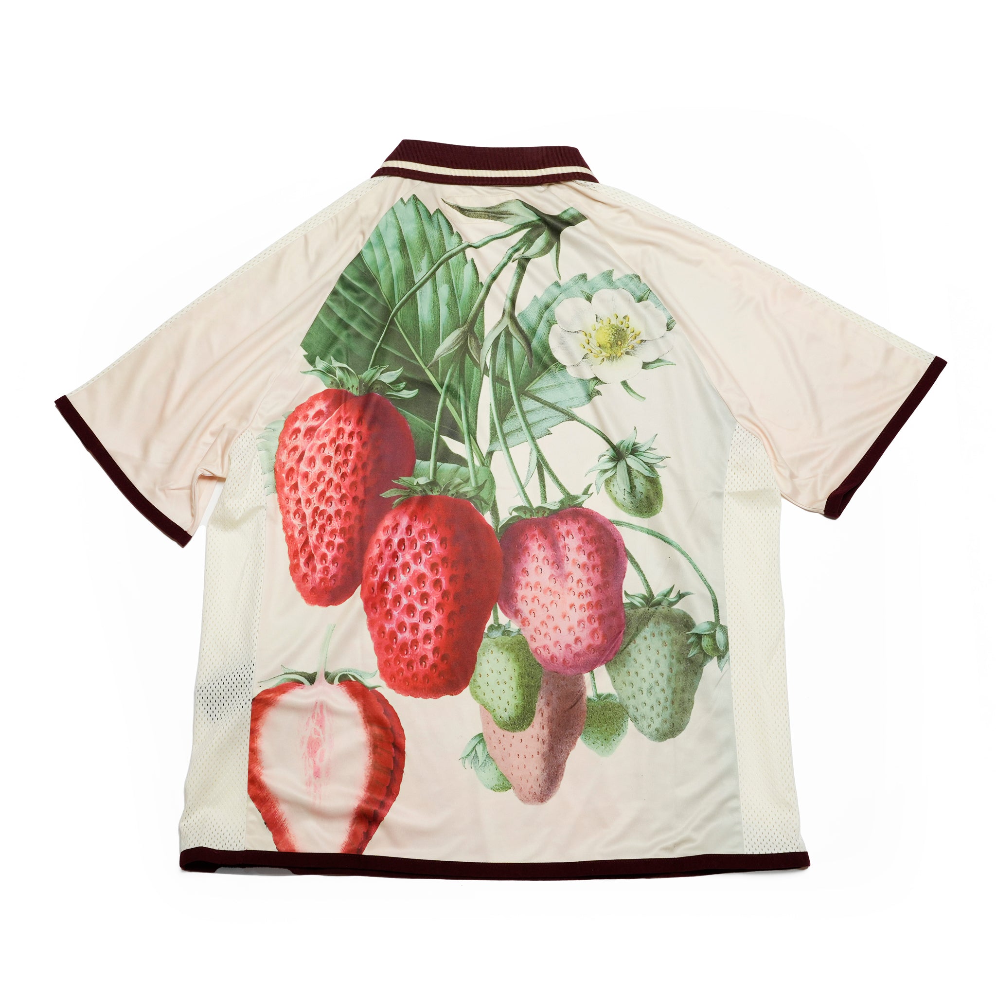 Pla25sst11_Print | Strawberry jersey | Color:Print【PLATEAU STUDIO_プラトー スタジオ】【archive】