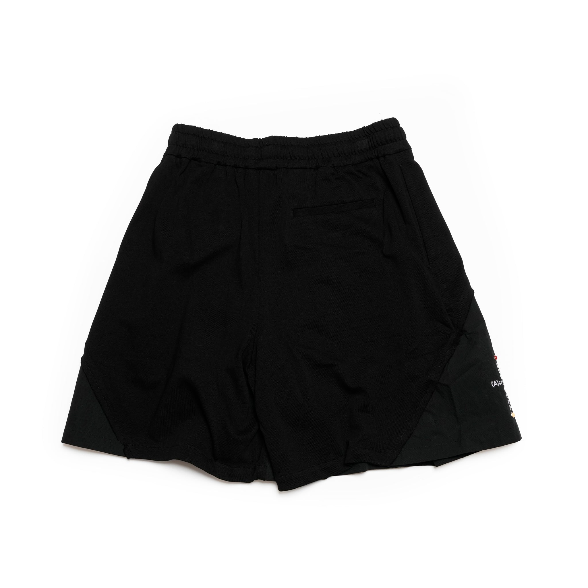(A)crypsis® 25S/S - (ð¬)ððððððð My Life Mixed-Material Pleated Shorts / Black | SIze_Freeã(A)CRYPSIS®ã