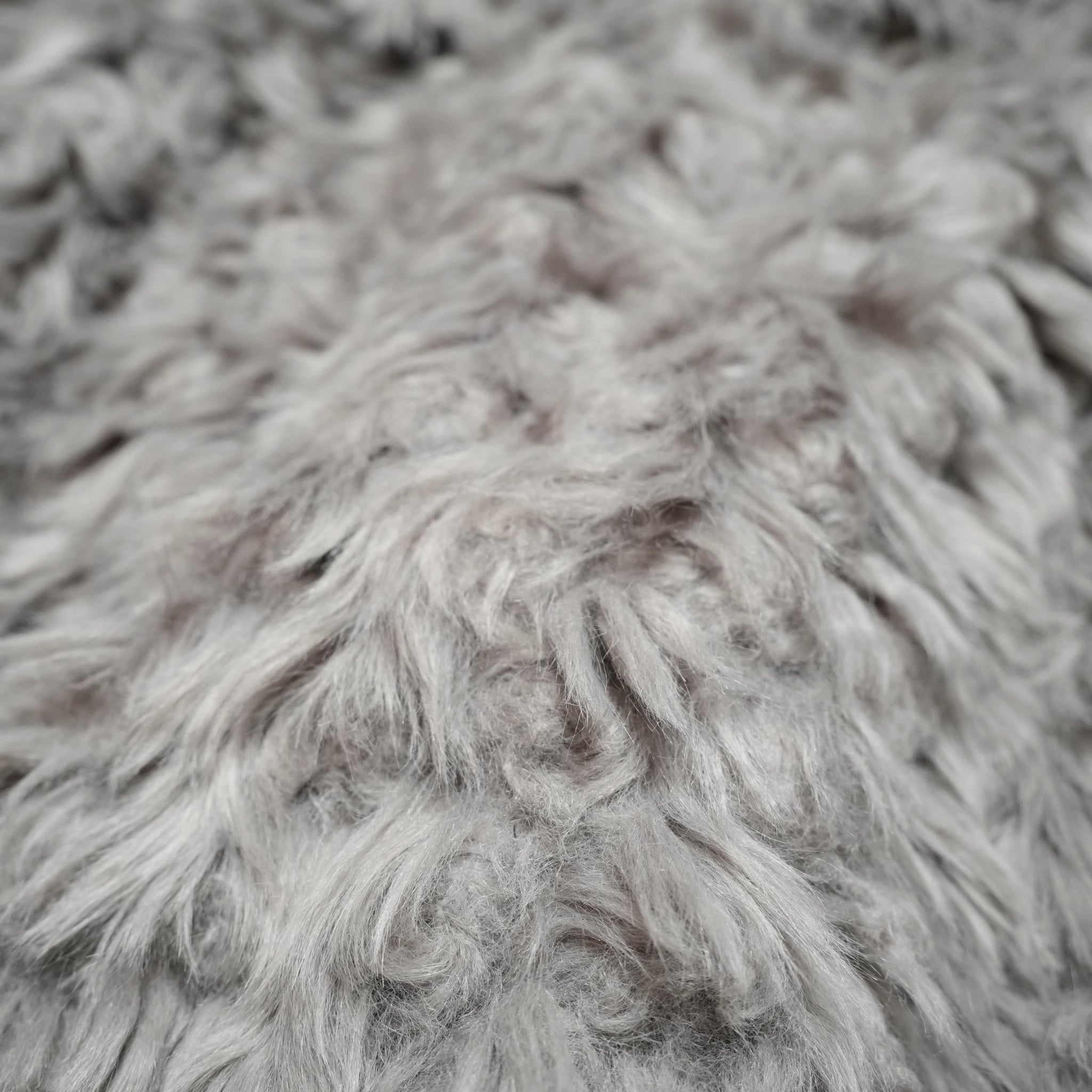 MW5WJK07X_GREY | CLOUD | Color:Grey【MOLLIOLLI_モリオリ】