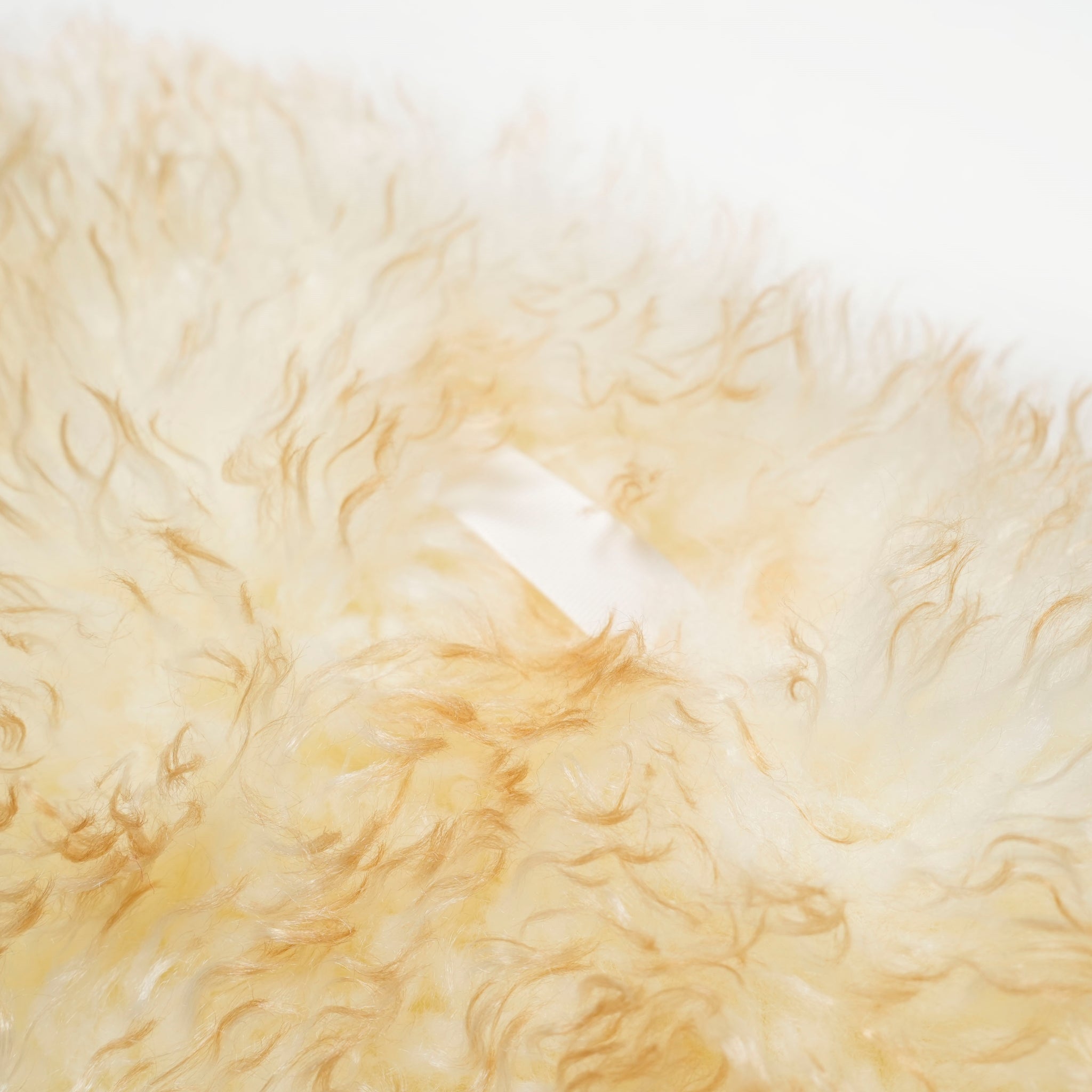 MW5WVS03X_IVORY/YELLO | MONE | Color:Ivory/Yello【MOLLIOLLI_モリオリ】