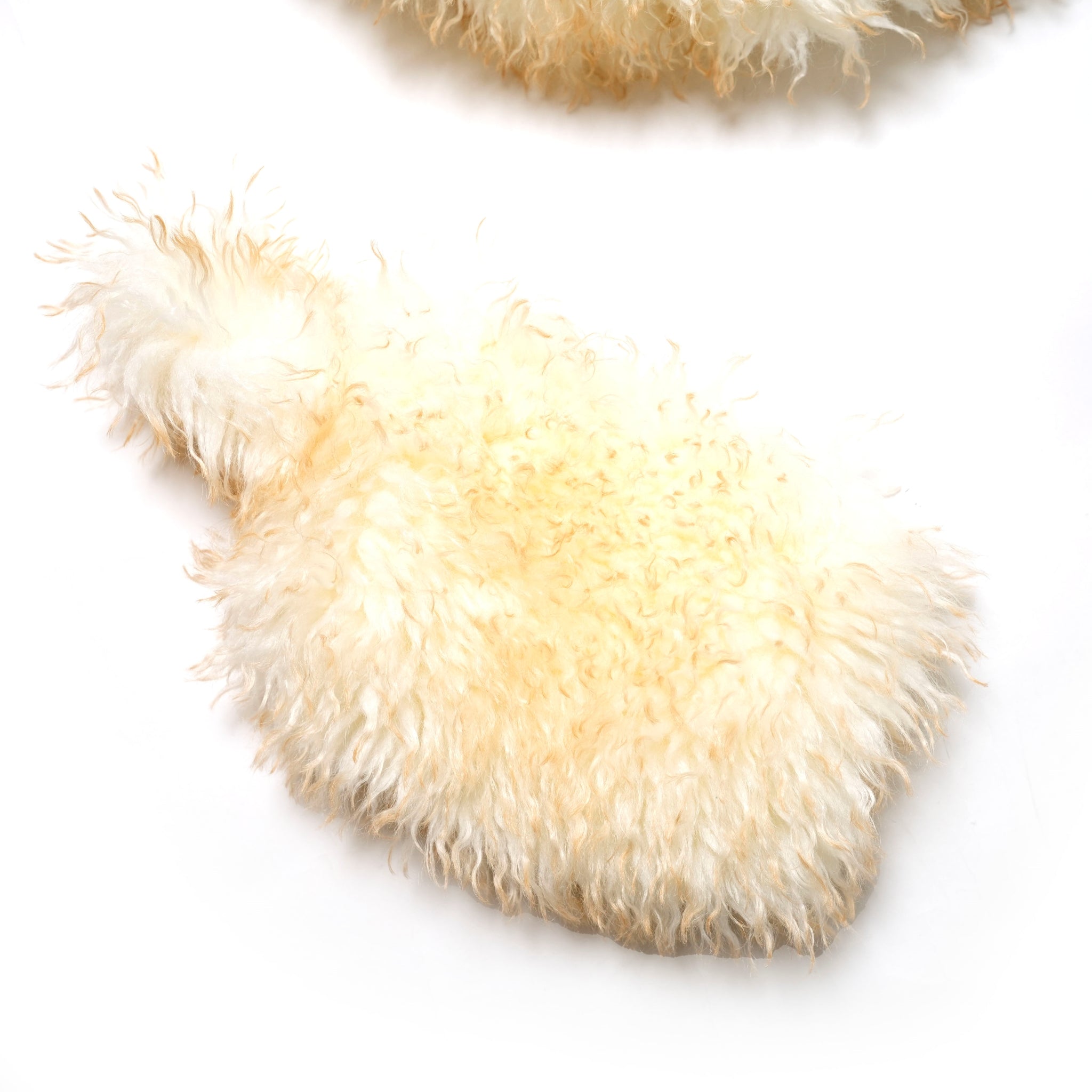 MW5WVS03X_IVORY/YELLO | MONE | Color:Ivory/Yello【MOLLIOLLI_モリオリ】