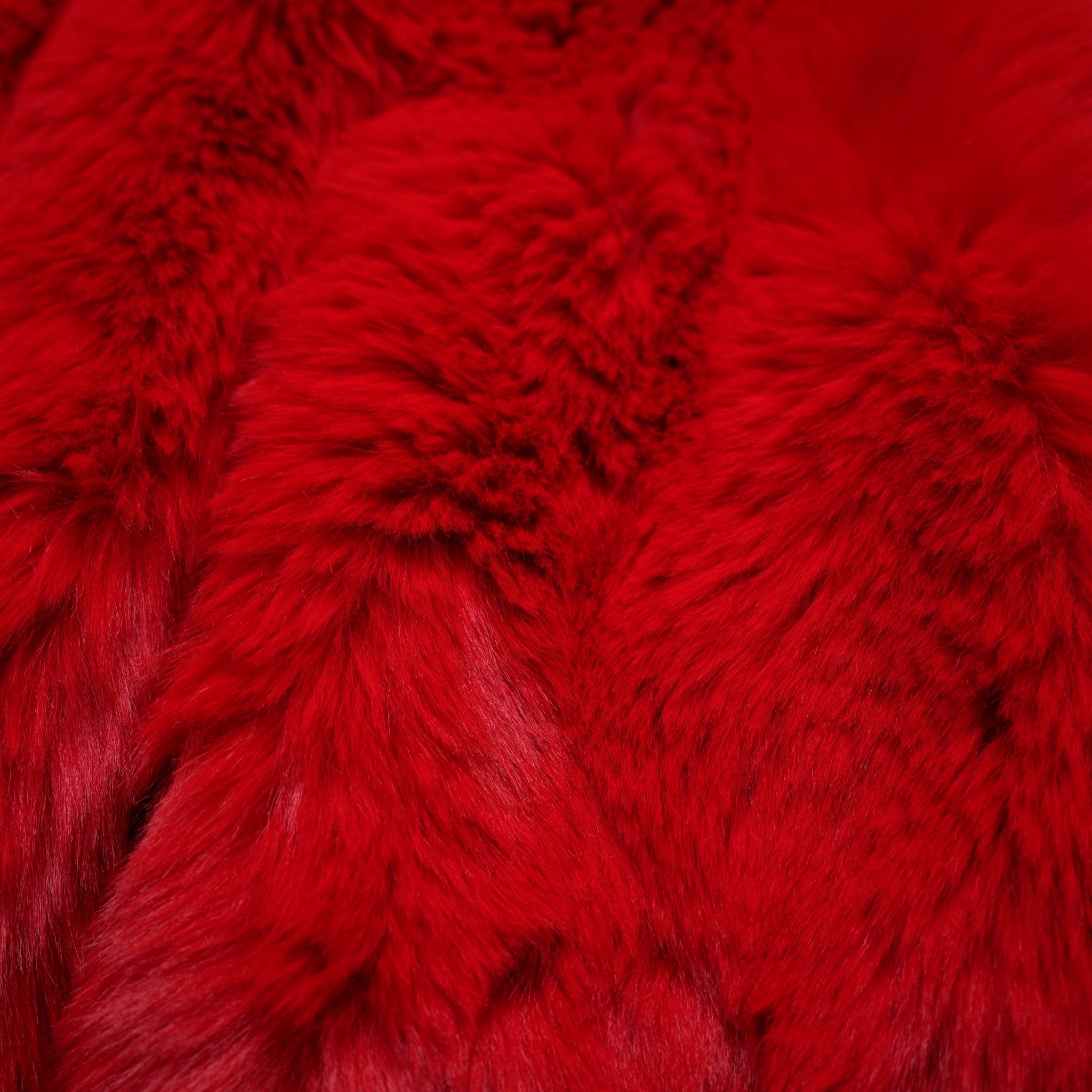 MW5WVS03X_RED | MONE | Color:Red【MOLLIOLLI_モリオリ】【archive】