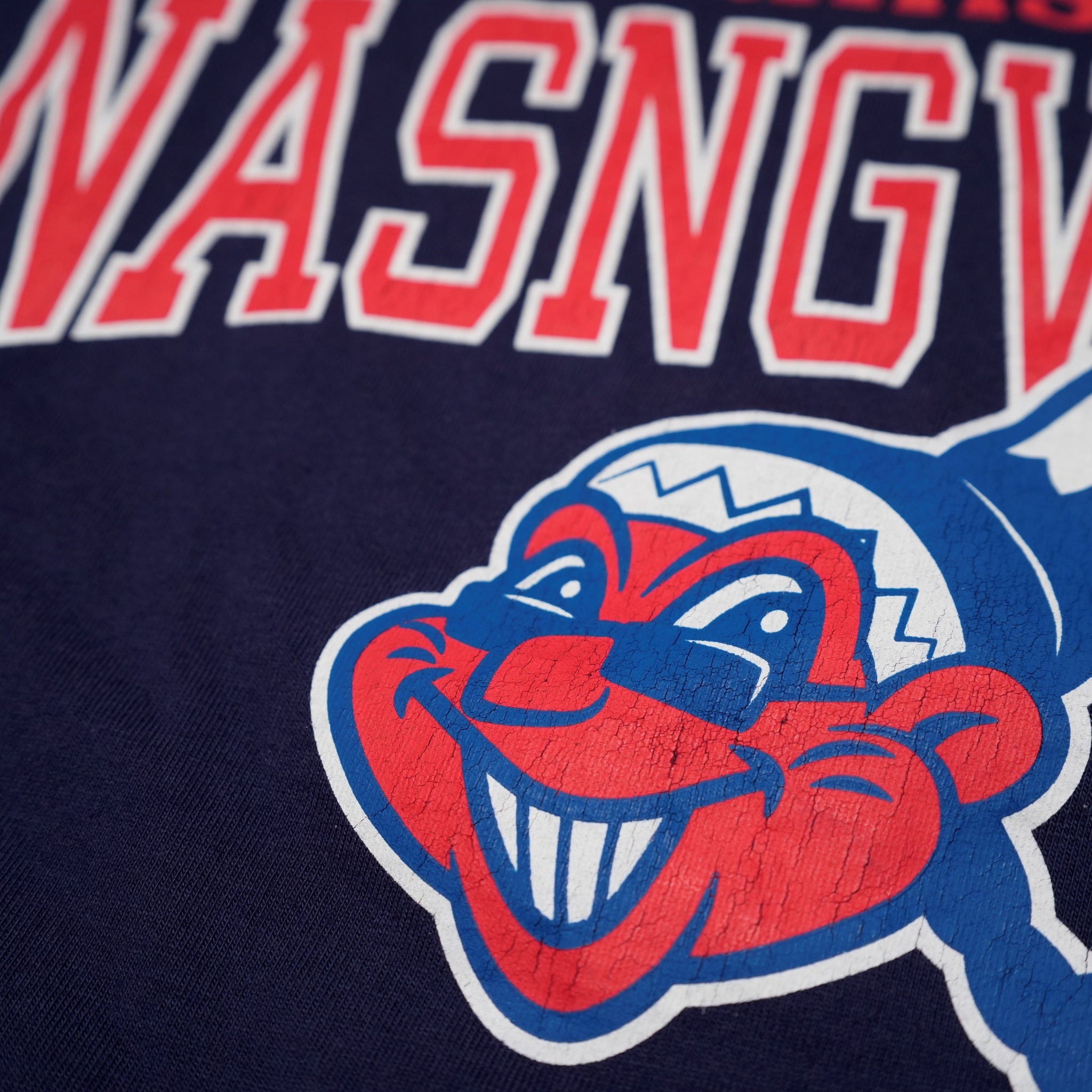 JC2484907 | Nasngwam.×Jhanksn PARK TEE | Color:Navy / Ash Gray【NASNGWAM_ナスングワム】【ネコポス選択可能】