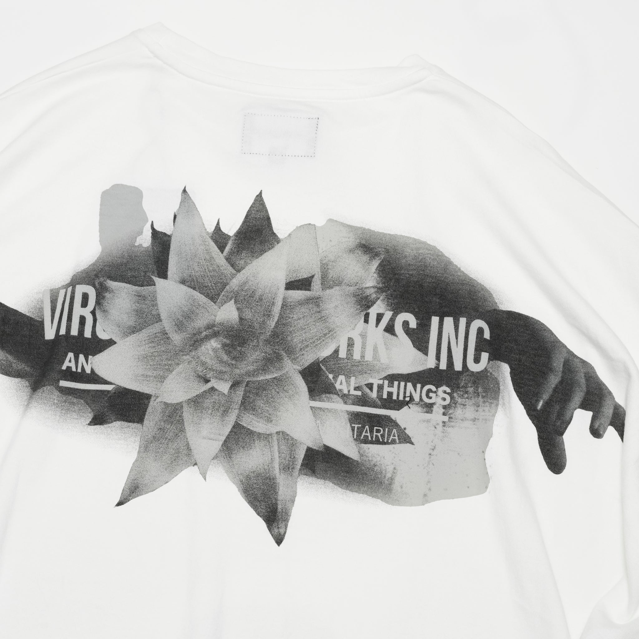 VG-CUT-504 | Bewitching dolman | Color:White【VIRGOwearworks_ヴァルゴウェアワークス】