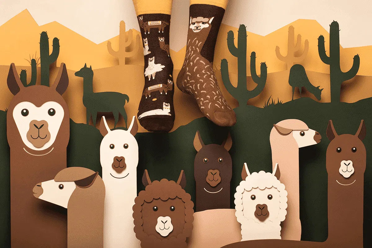 reguler socks / Fluffy Alpaca【MANY MORNINGS_メニ―モーニングス】【ネコポス選択可能】