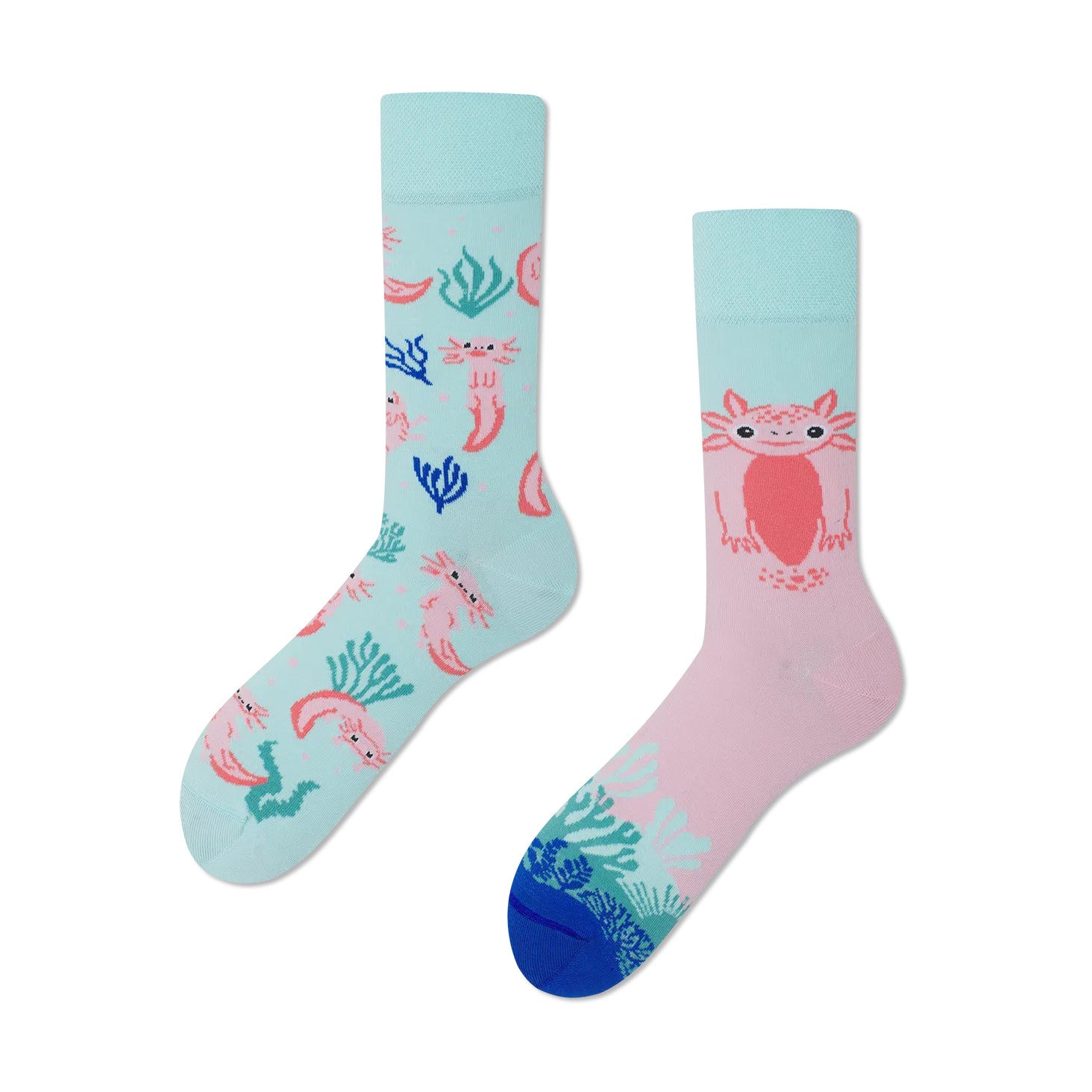 reguler socks / A Lot Of Axolotls【many mornings メニ―モーニングス】【ネコポス選択可能】