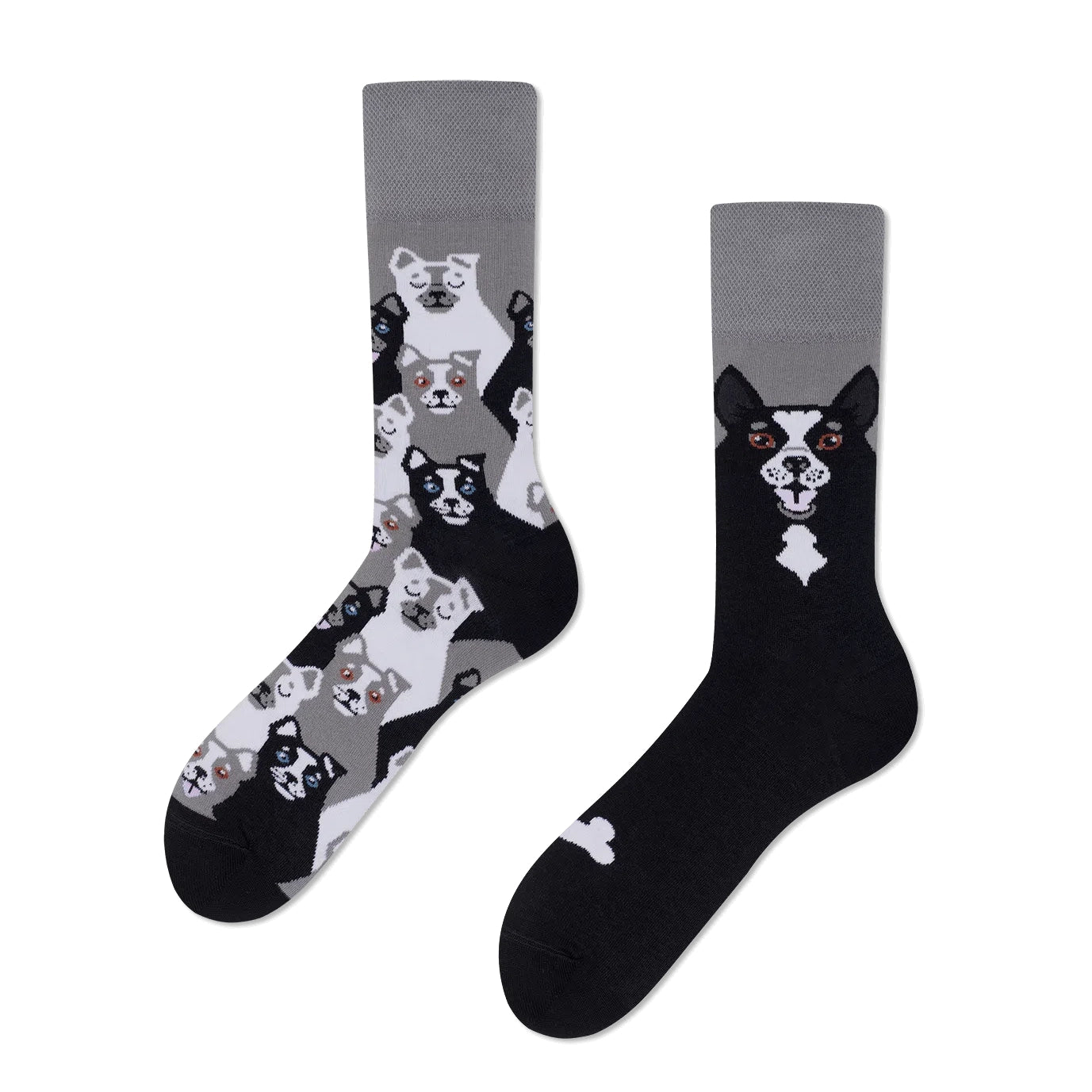 reguler socks / BLACK DOG【many mornings メニ―モーニングス】【ネコポス選択可能】