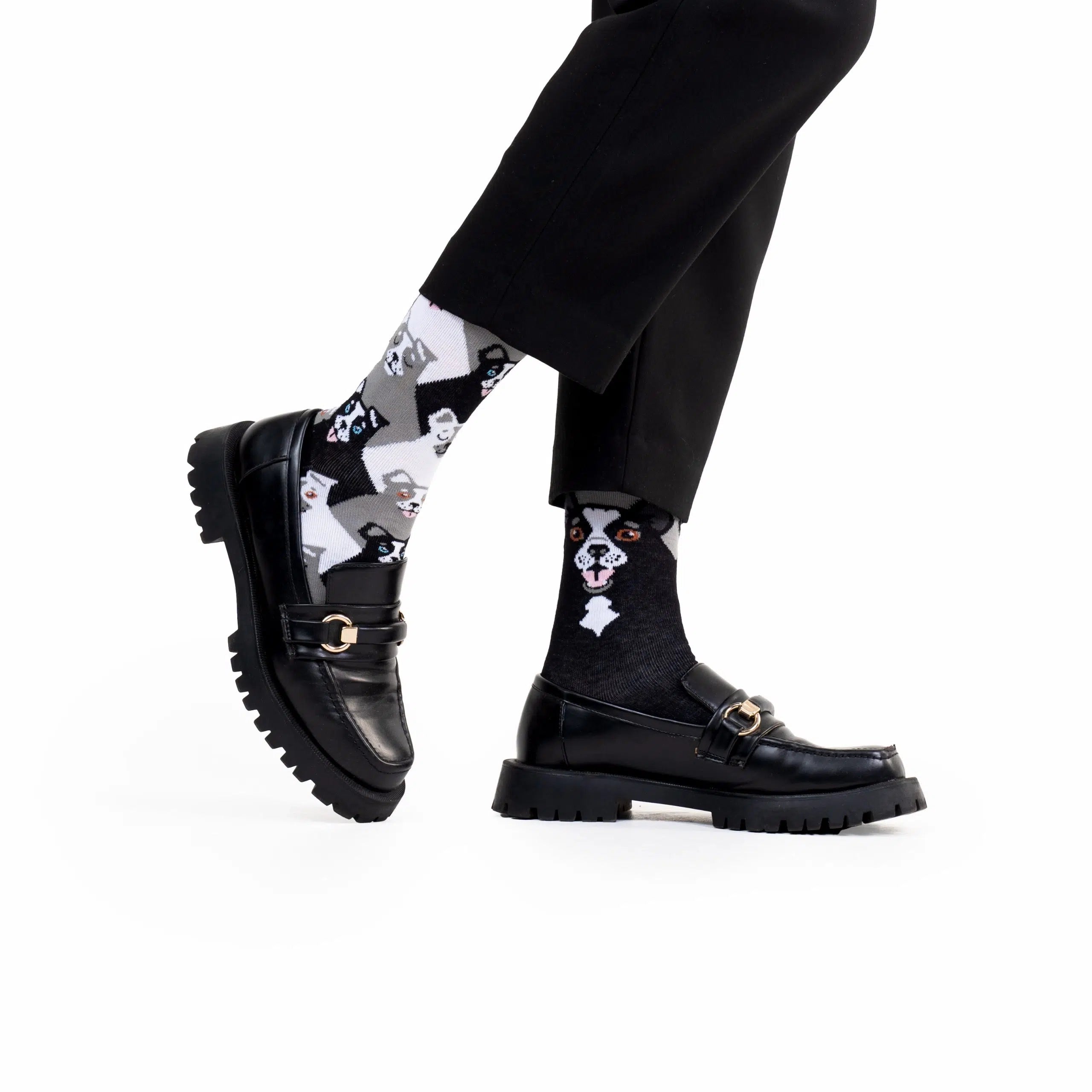 reguler socks / BLACK DOG【many mornings メニ―モーニングス】【ネコポス選択可能】