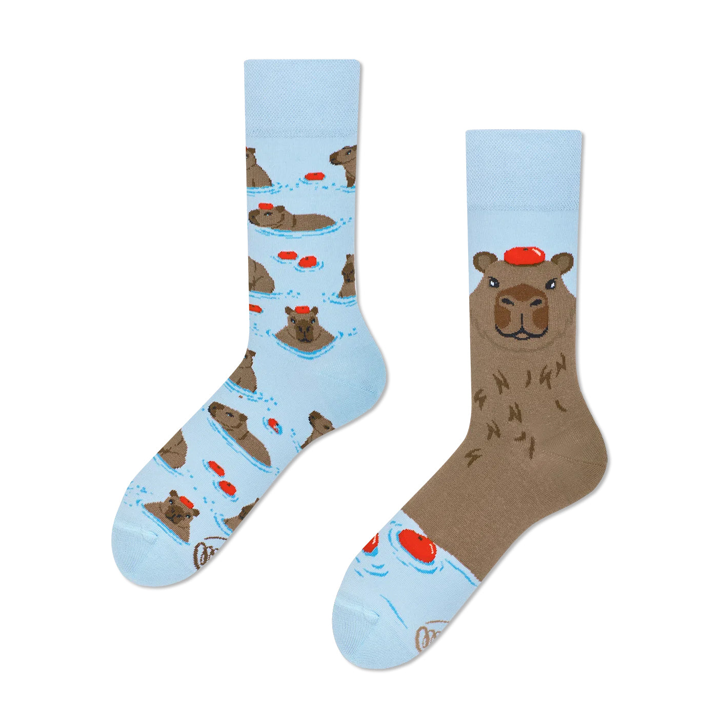 reguler socks / Capybara【many mornings メニ―モーニングス】【ネコポス選択可能】