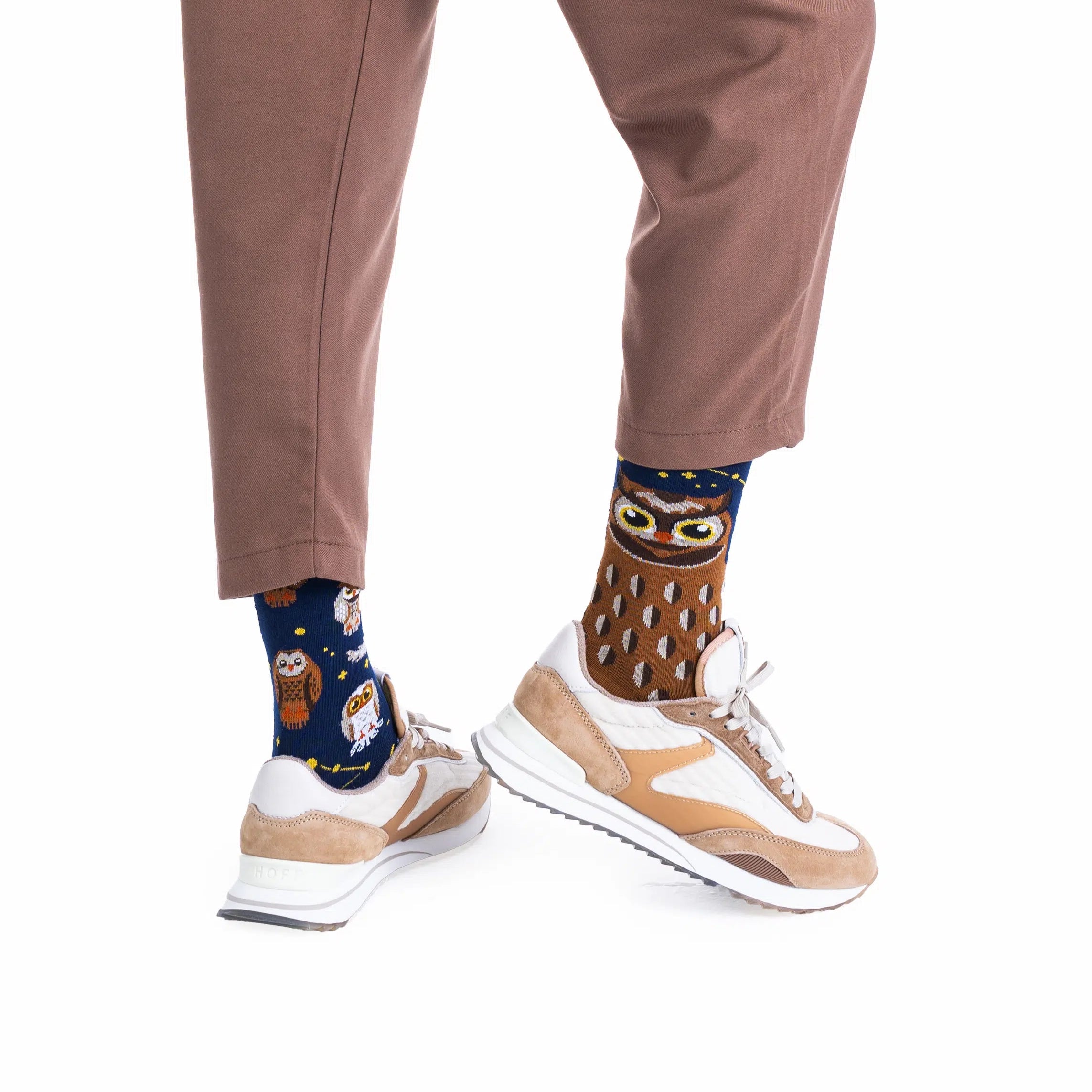 reguler socks / Owly Moly【many mornings メニ―モーニングス】【ネコポス選択可能】