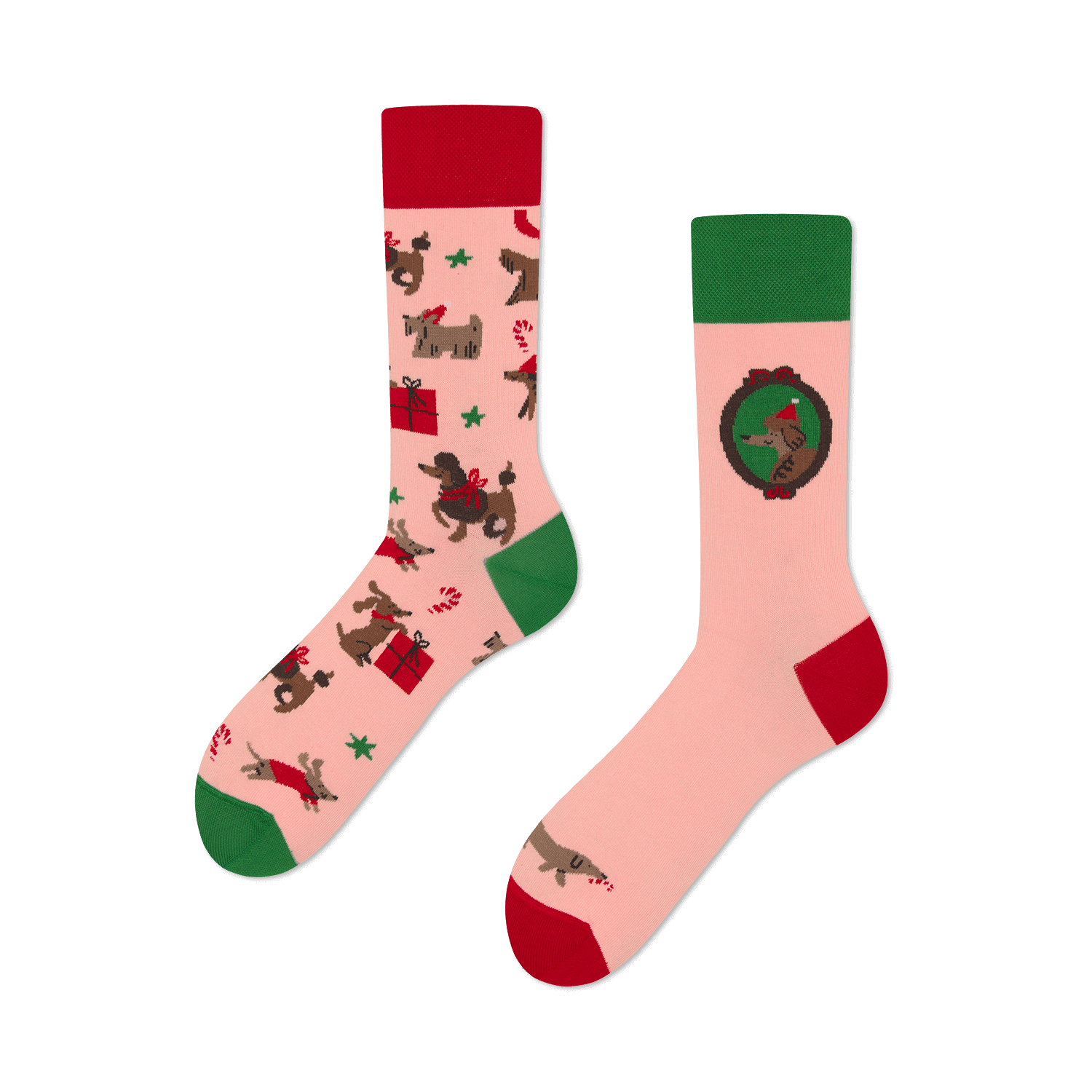 reguler socks / WINTER WOOFS【many mornings メニ―モーニングス】【ネコポス選択可能】