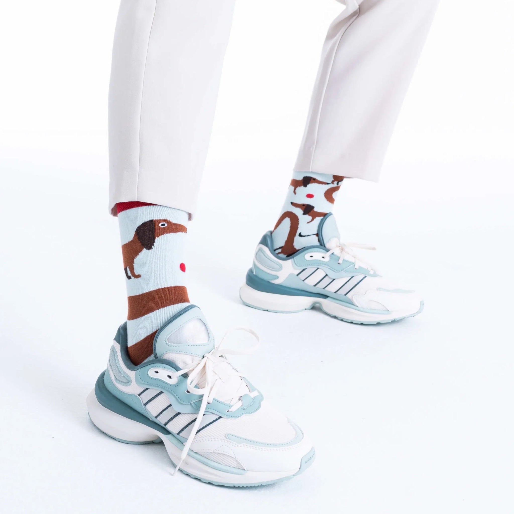 reguler socks / Sausage Dog 【many mornings メニ―モーニングス】【ネコポス選択可能】