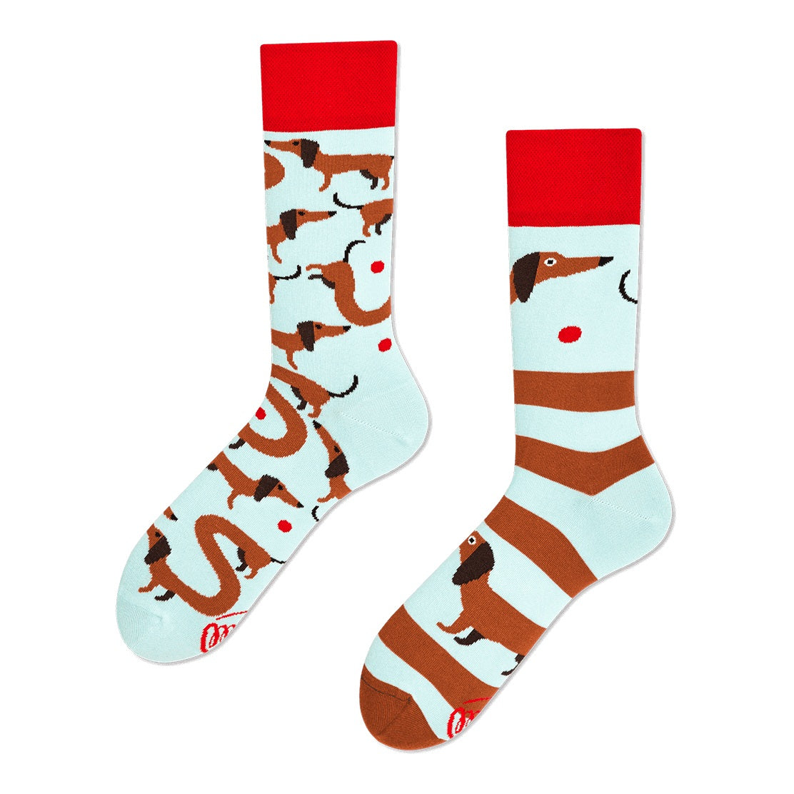 reguler socks / Sausage Dog 【many mornings メニ―モーニングス】【ネコポス選択可能】