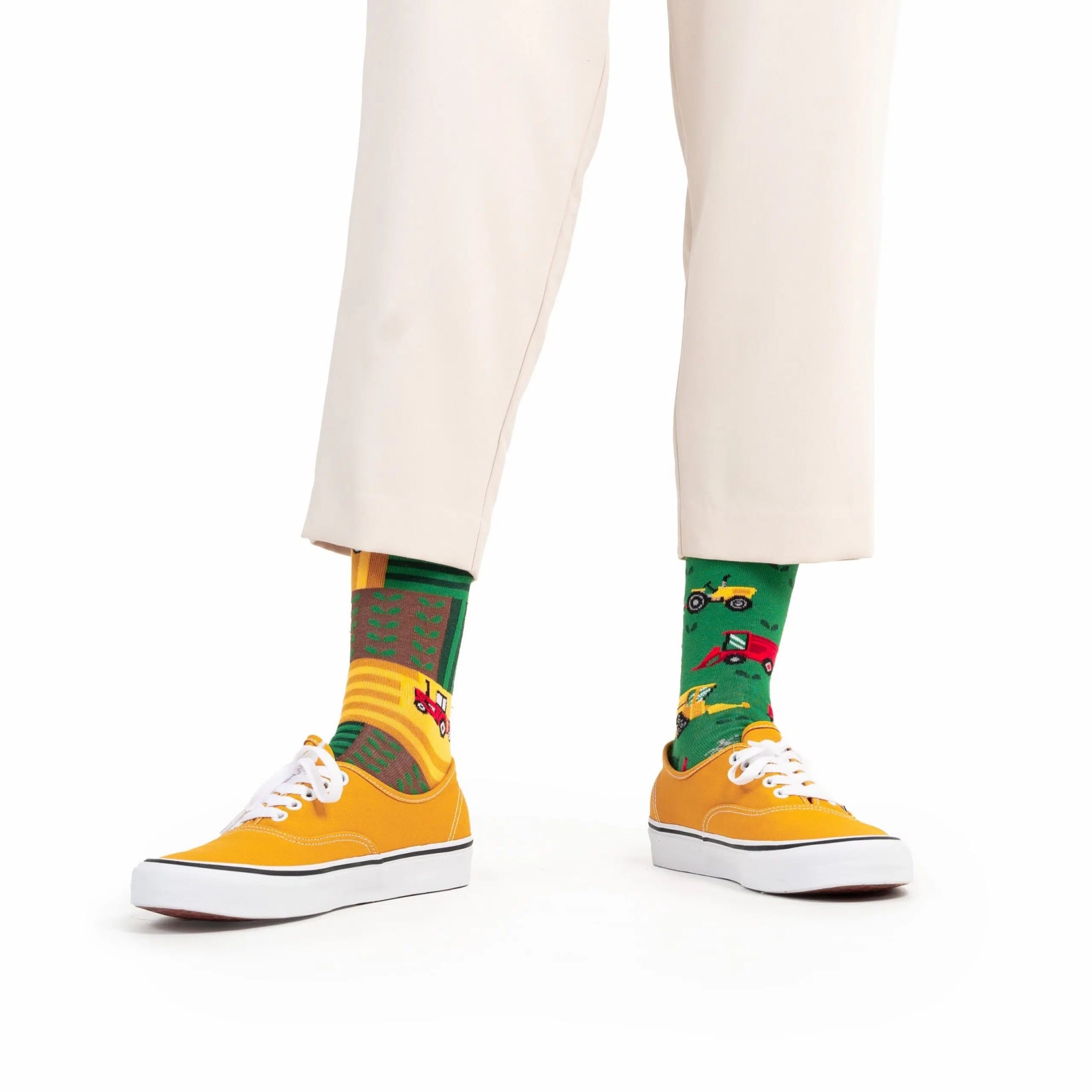 reguler socks / Happy Harvest【many mornings メニ―モーニングス】【ネコポス選択可能】