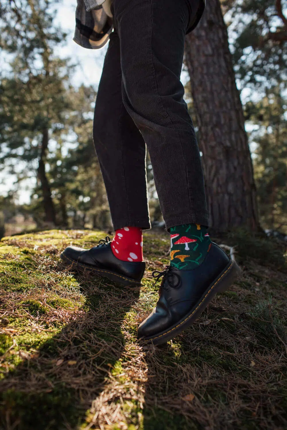 many mornings reguler socks /Meet The Mushroom/ 【many mornings メニ―モーニングス】【ネコポス選択可能】