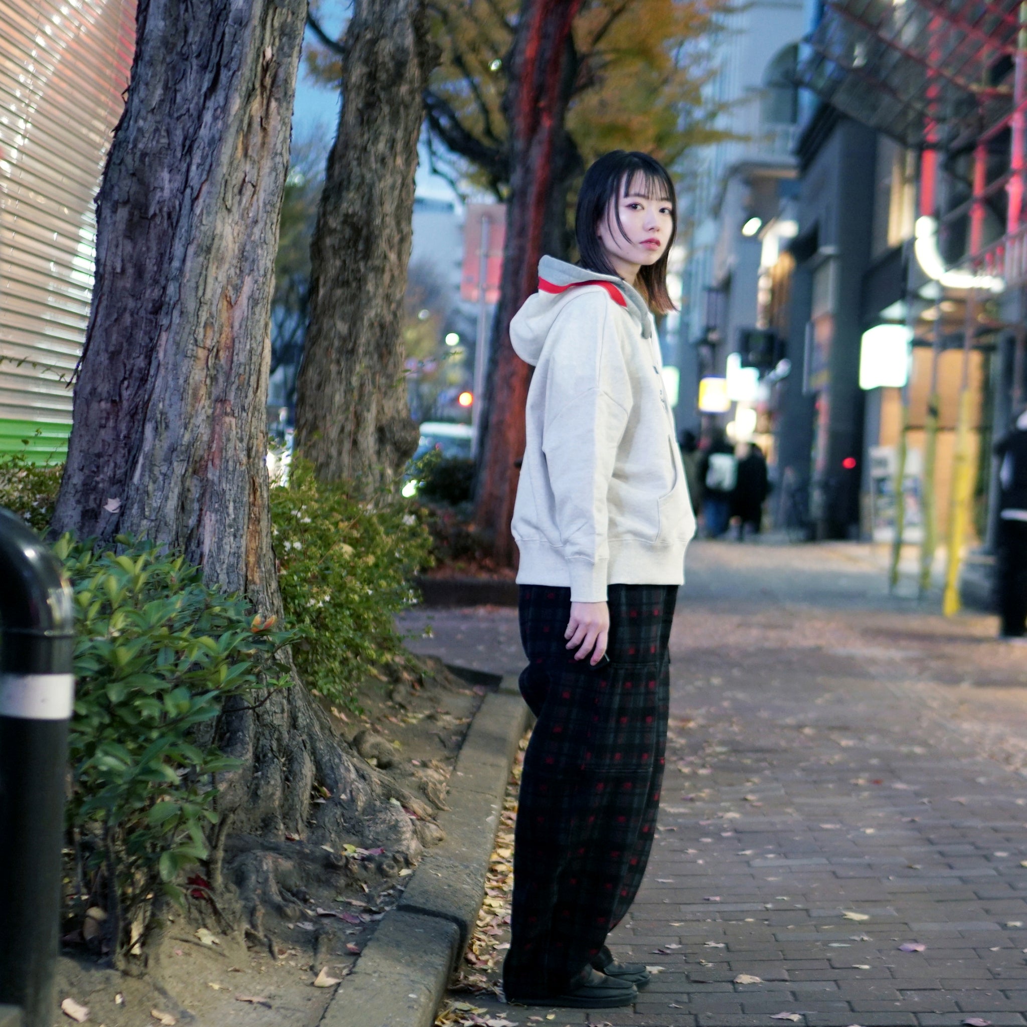 No:bsdodd-03_a | Name:City Scenery Embroidery Hoodie | Color:Oat Meal【BEDSIDEDRAMA_ベッドサイドドラマ】【archive】
