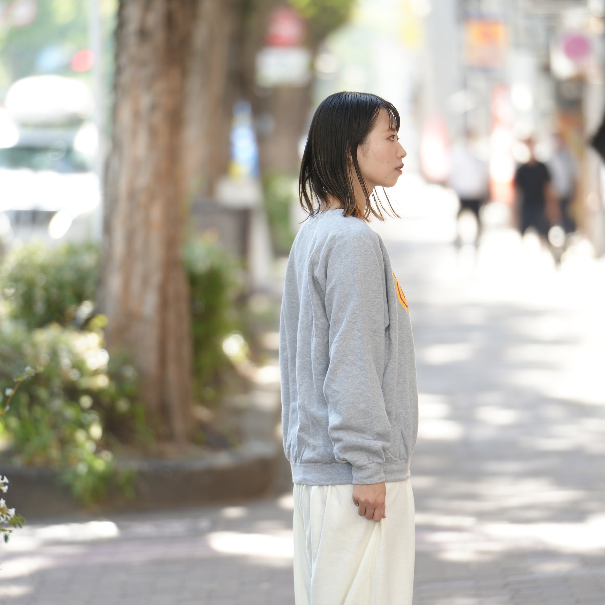 No:aoasweat002 | Name:aoa Sweat shirts | Color:Gray | Size:Free【animal of airs_アニマル オブ エアーズ】