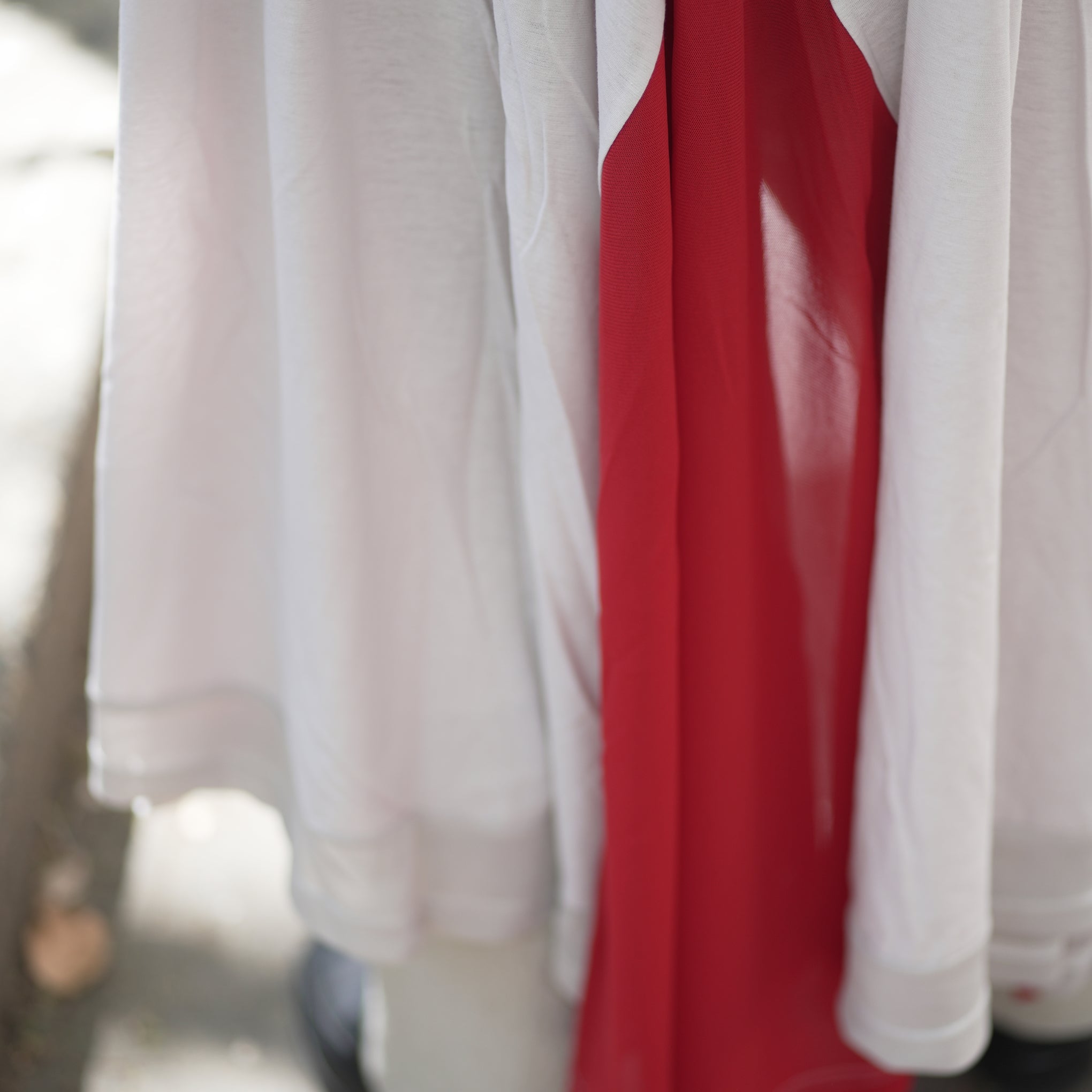 No:bsd23SS-27_a | Name:Peacock Dress tee | Color:White【BEDSIDEDRAMA_ベッドサイドドラマ】