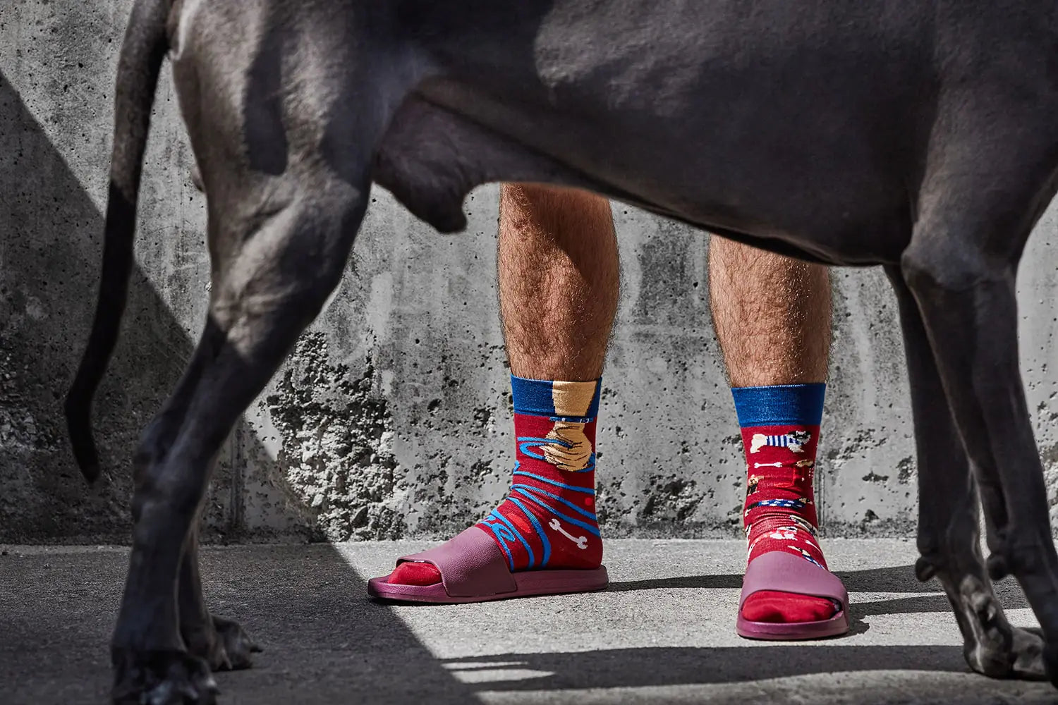 many mornings reguler socks /Walkie Dog/ 【many mornings メニ―モーニングス】【ネコポス選択可能】