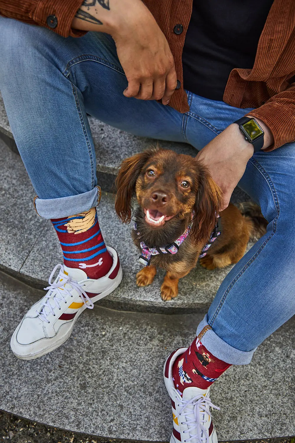 many mornings reguler socks /Walkie Dog/ 【many mornings メニ―モーニングス】【ネコポス選択可能】