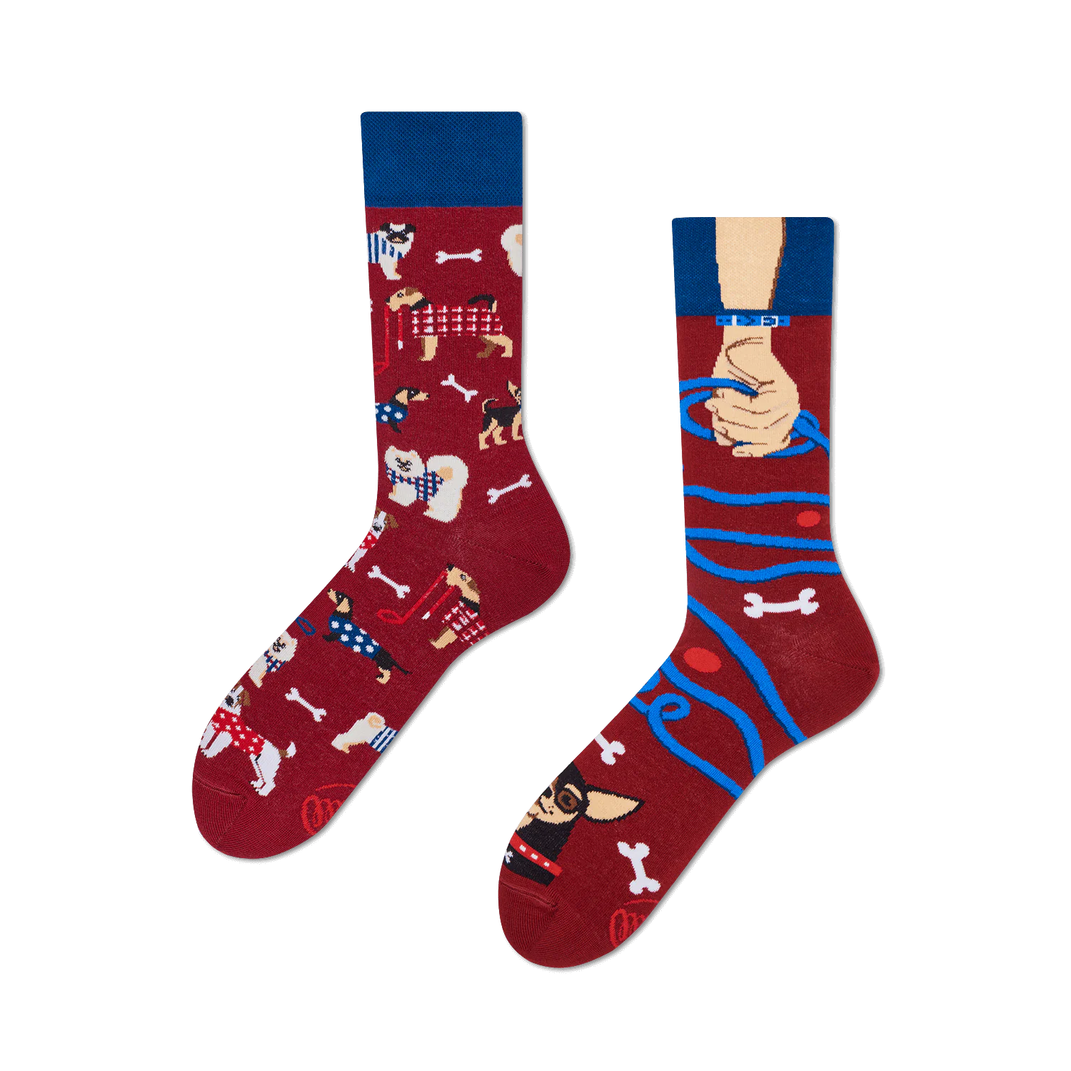 many mornings reguler socks /Walkie Dog/ 【many mornings メニ―モーニングス】【ネコポス選択可能】