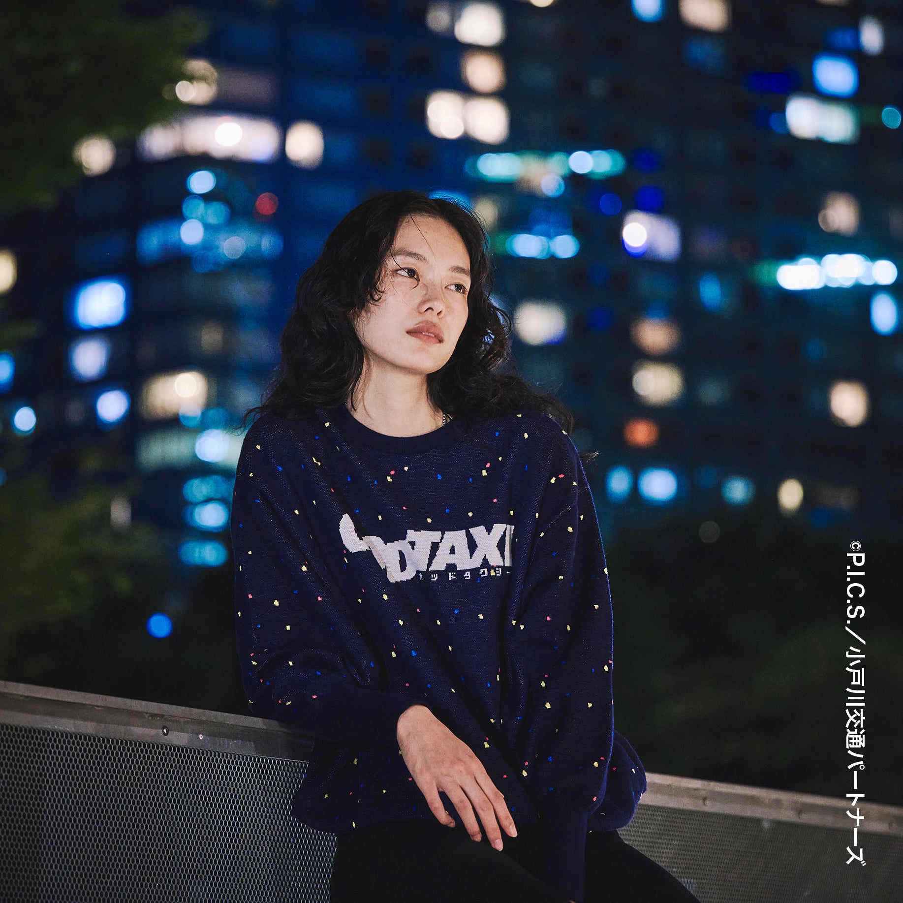 No:bsdodd-02 | Name:City Lights Knit Sweater | Color:Navy【BEDSIDEDRAMA_ベッドサイドドラマ】【archive】