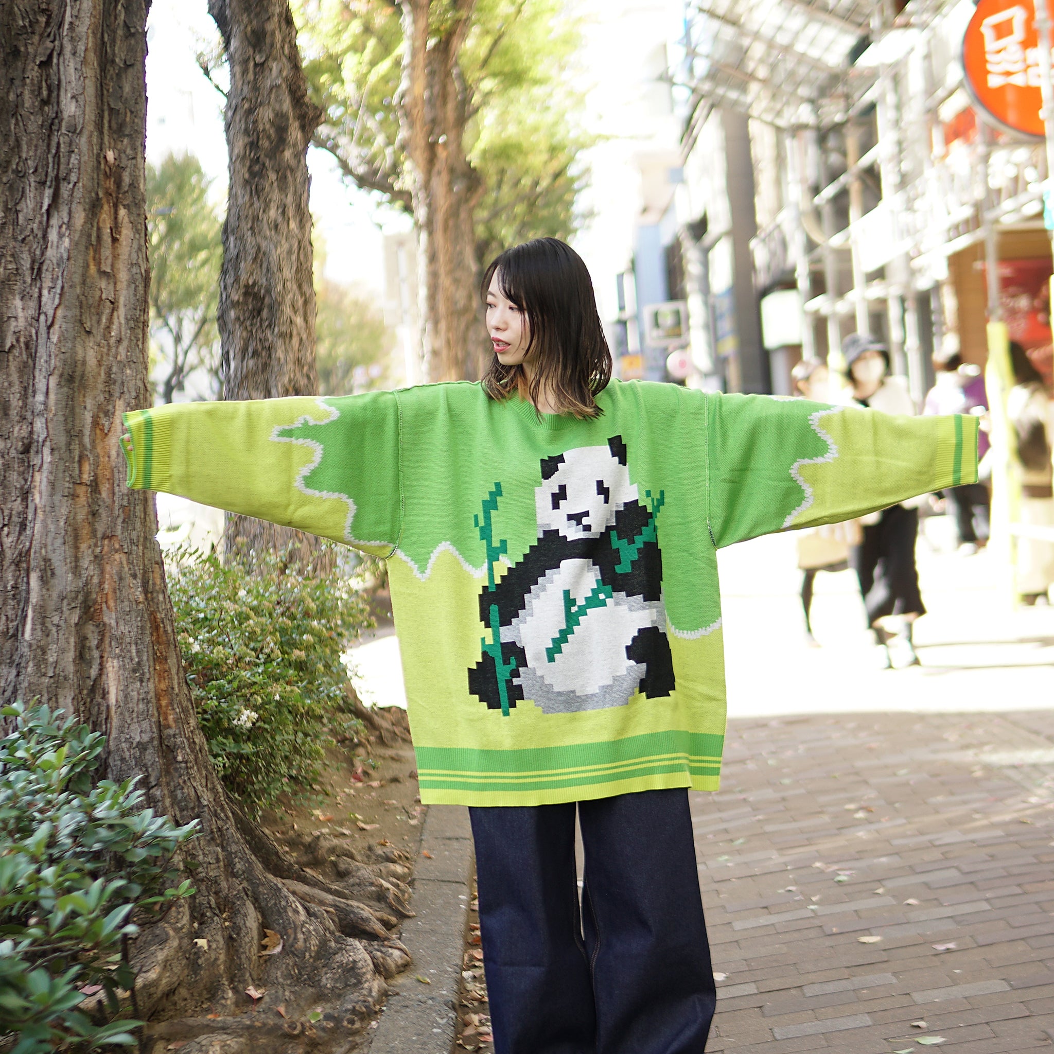 pw22kt02 | panda knit top | Color:grass-paddy | Size:2【PLATEAU STUDIO_プラトー スタジオ】
