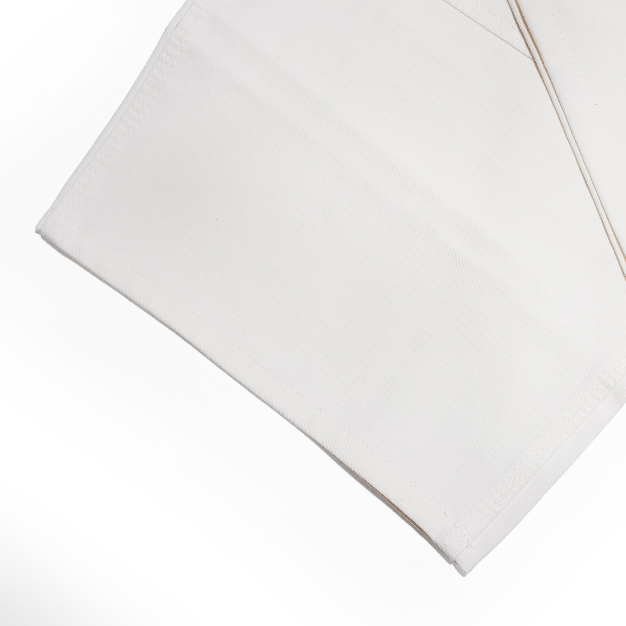 =BIG PAINTER_DOUBLE KNEE= – Ecru | ODDMENT
