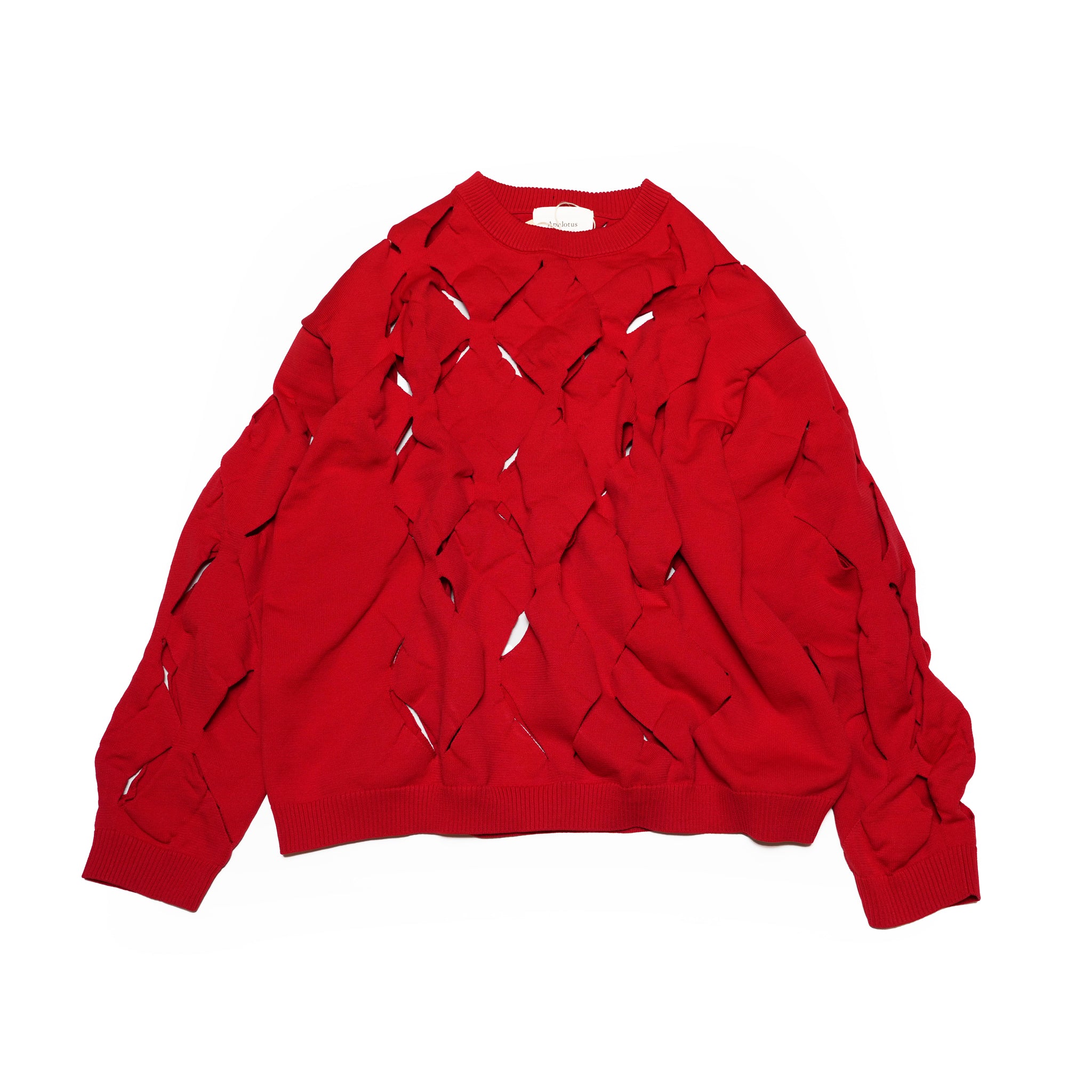 Geometric Pattern Perforated　Crew Neck Sheer Knit | Color:Red【APHLOTUS_アプロタス】 | 217629_180_red