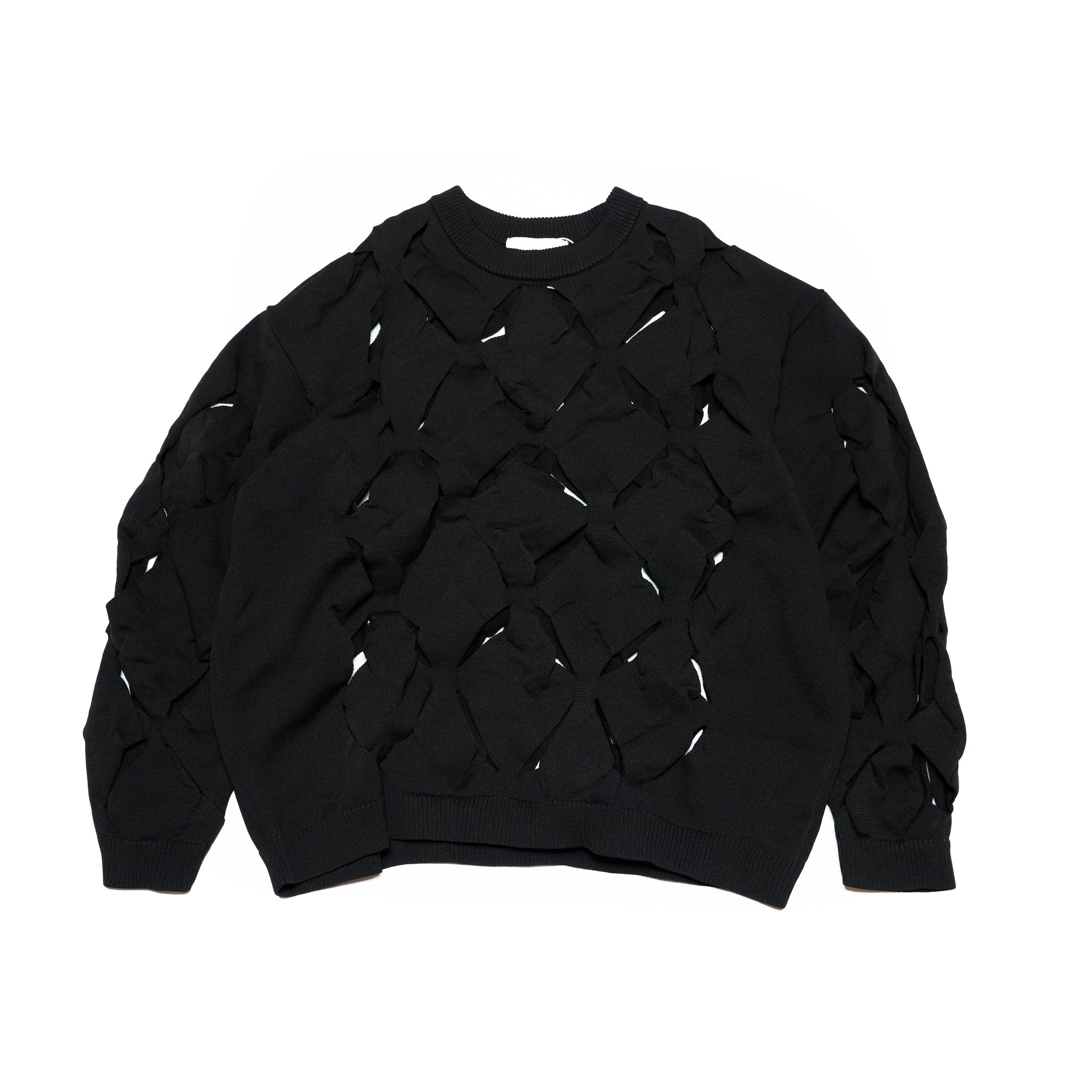 Geometric Pattern Perforated　Crew Neck Sheer Knit | Color:Black【APHLOTUS_アプロタス】 | 217629_100_black