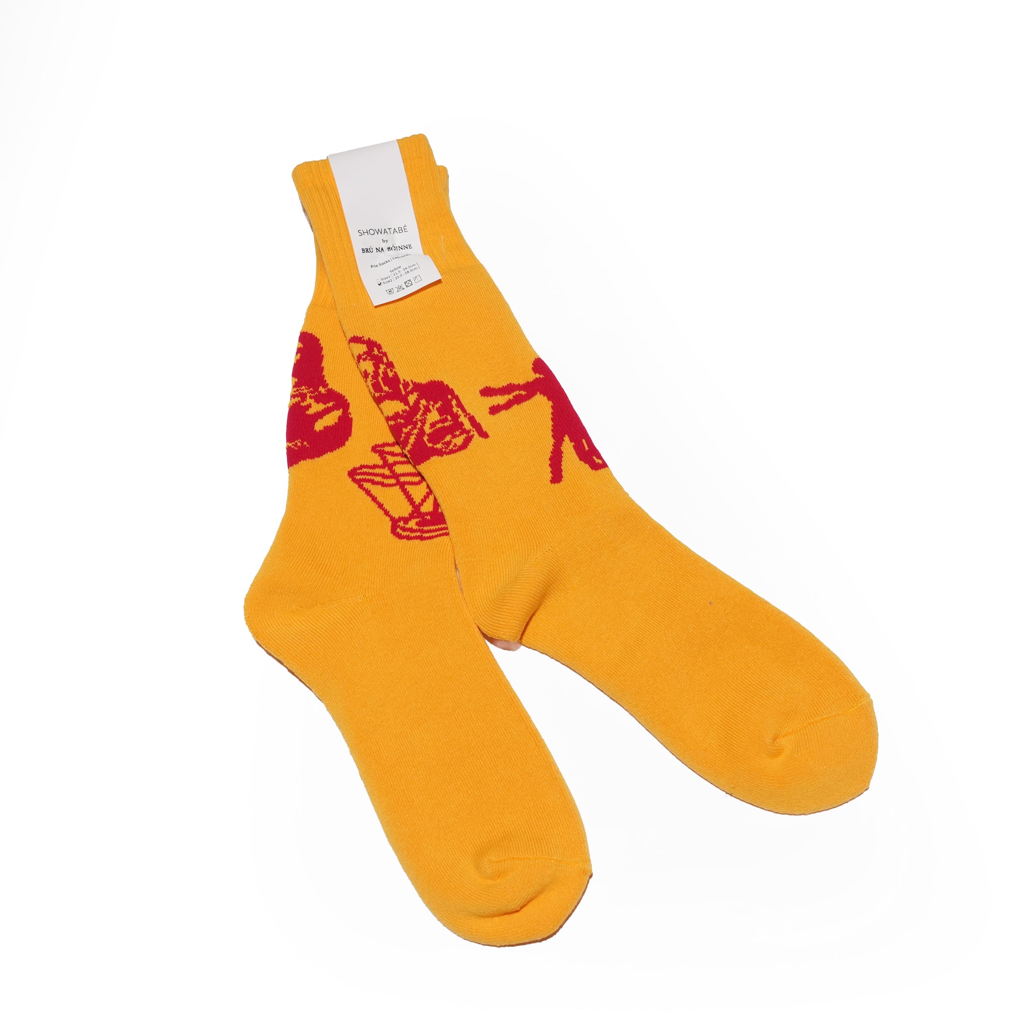 Pile Socks | Leonardo SHOWATABÉ by BRÚ NA BÓINNE【ネコポス選択可能】
