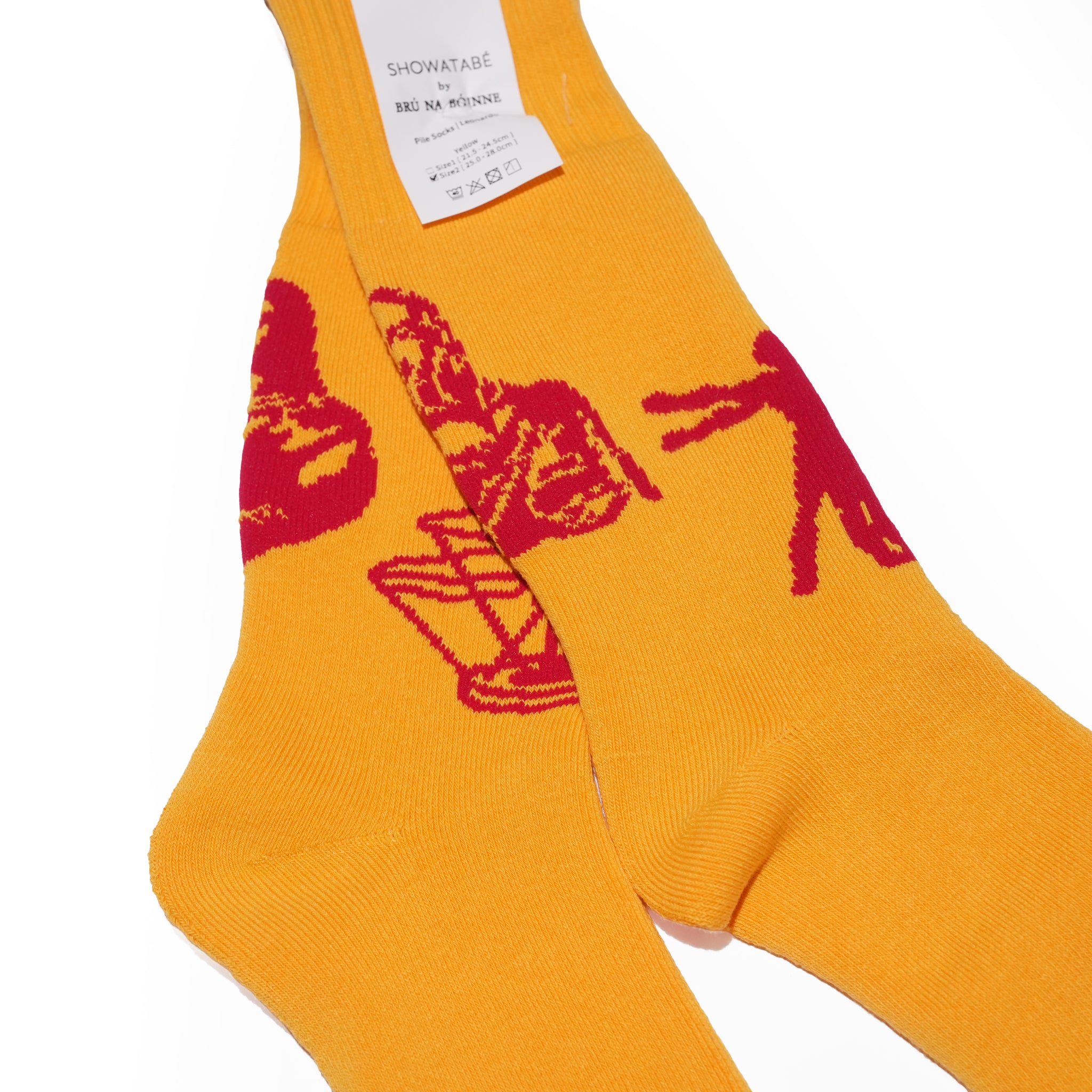 Pile Socks | Leonardo SHOWATABÉ by BRÚ NA BÓINNE【ネコポス選択可能】