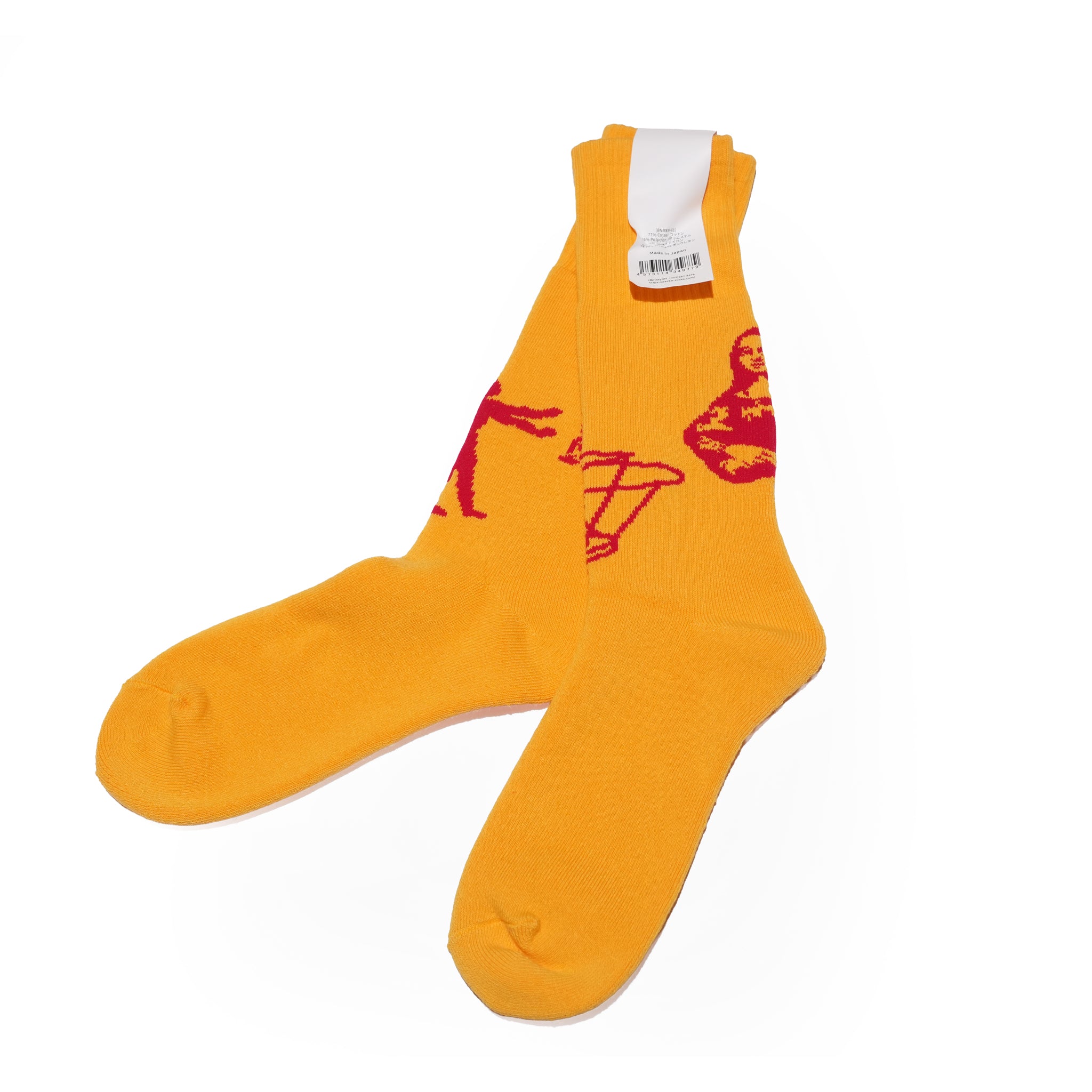 Pile Socks | Leonardo SHOWATABÉ by BRÚ NA BÓINNE【ネコポス選択可能】