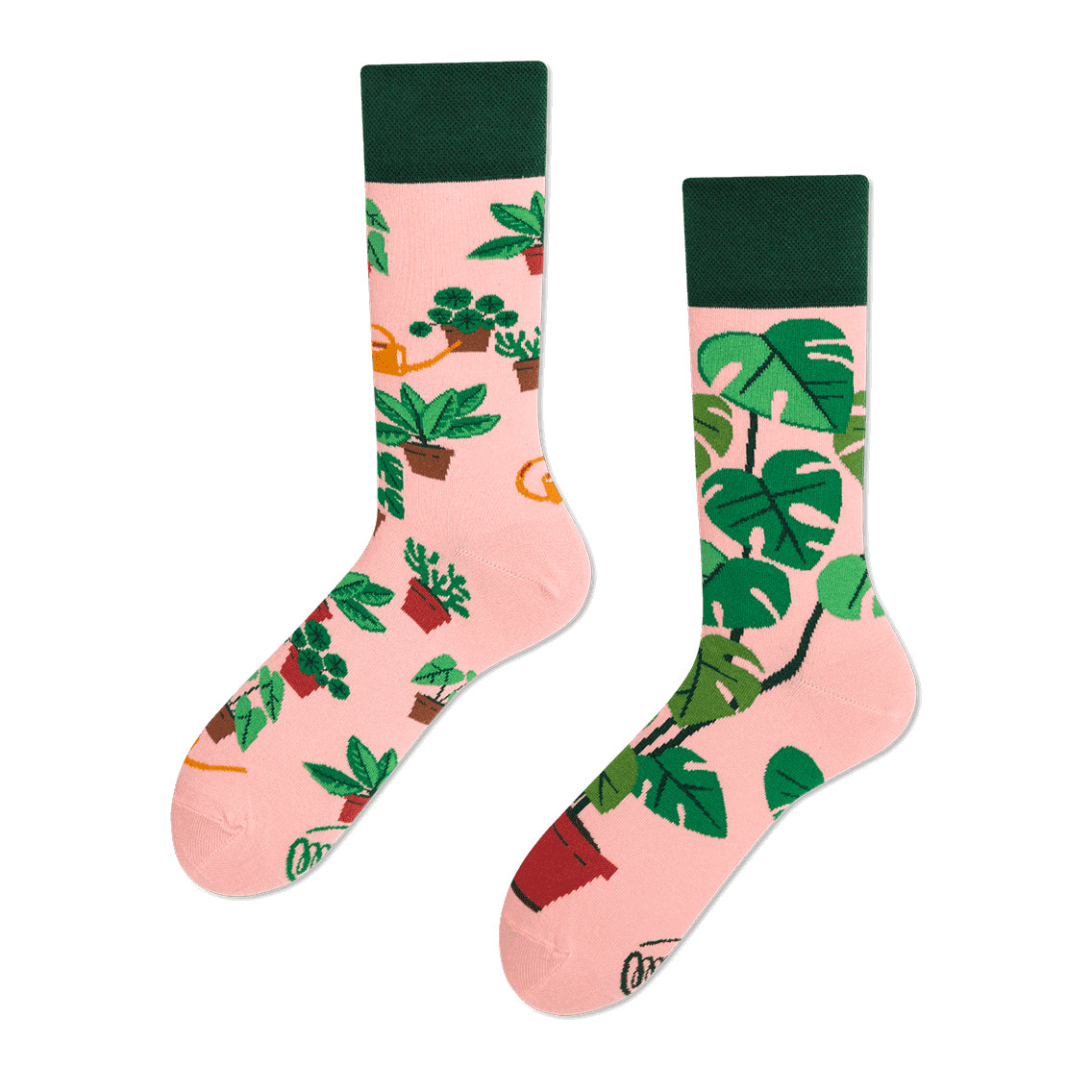 reguler socks / Plant Lover【many mornings メニ―モーニングス】【ネコポス選択可能】