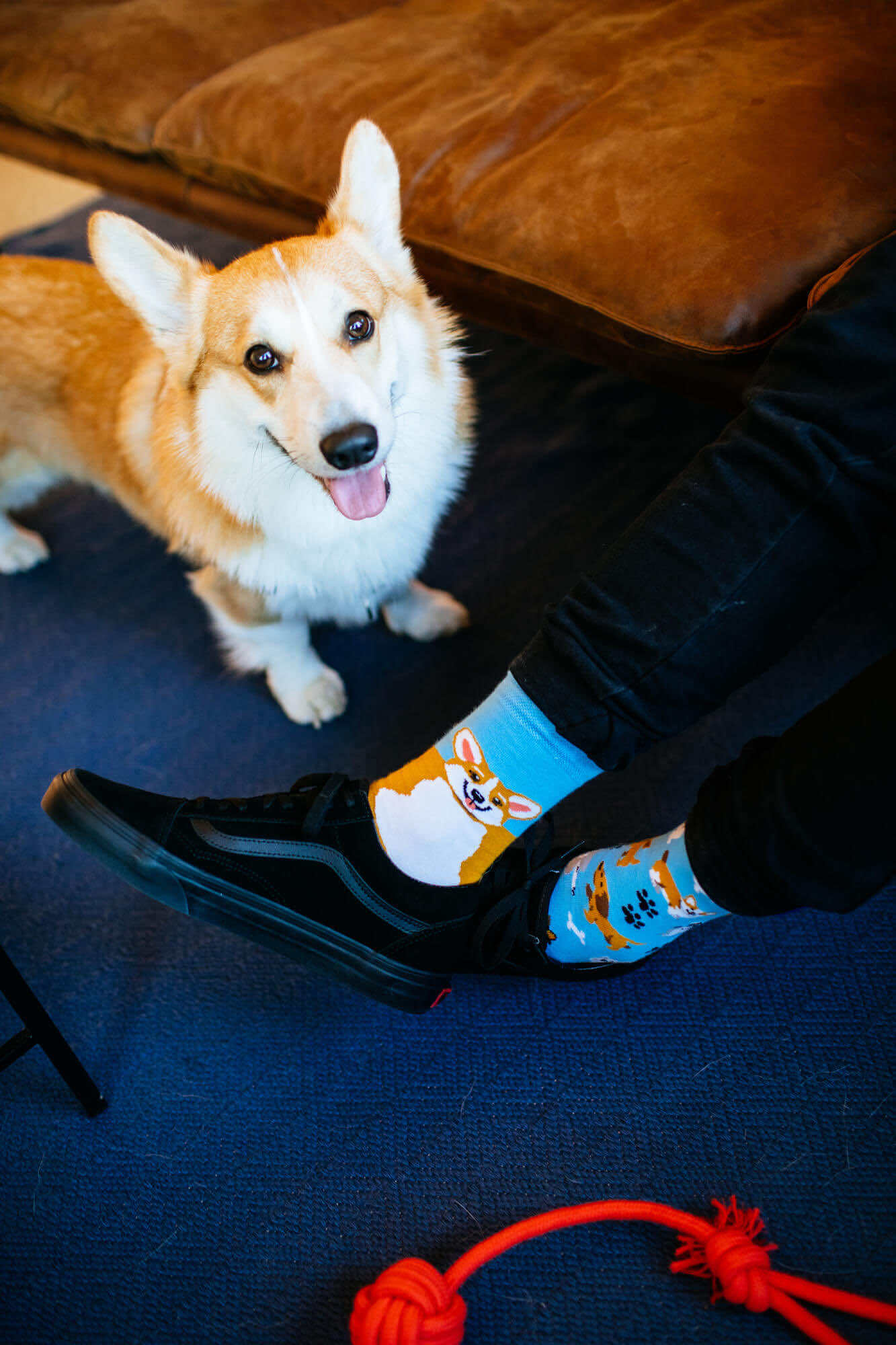 Reguler Socks / PLAYFUL DOG | MANY MORNINGS【ネコポス選択可能】