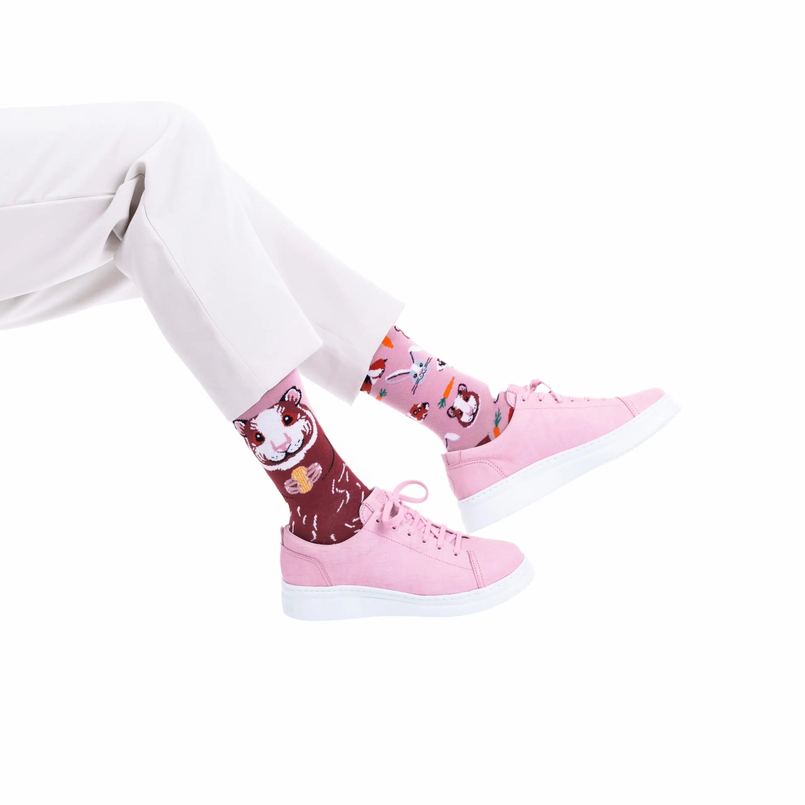 Reguler Socks / MISS GUINEA PIG | MANY MORNINGS【ネコポス選択可能】
