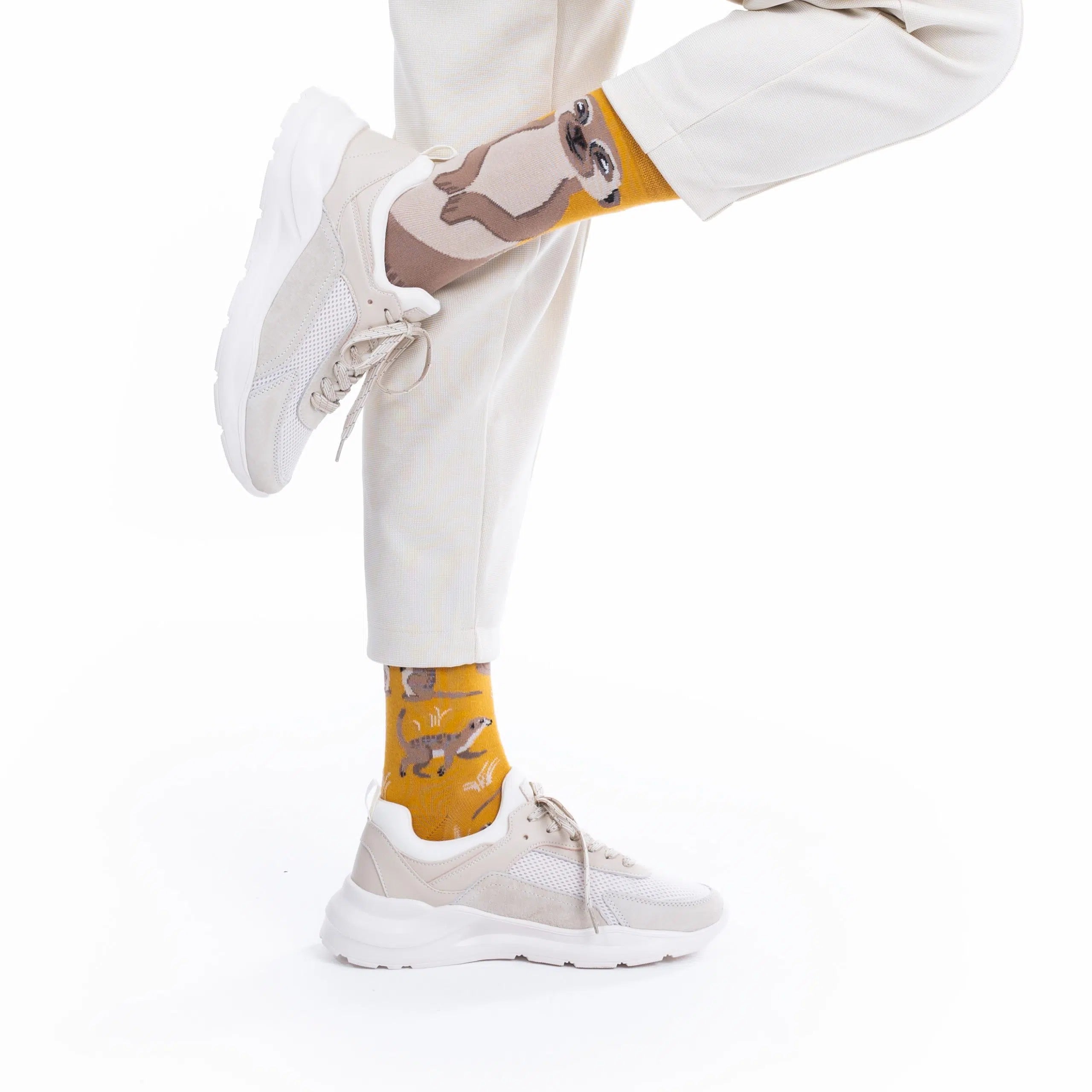 Reguler Socks / THE MEERKAT | MANY MORNINGS【ネコポス選択可能】