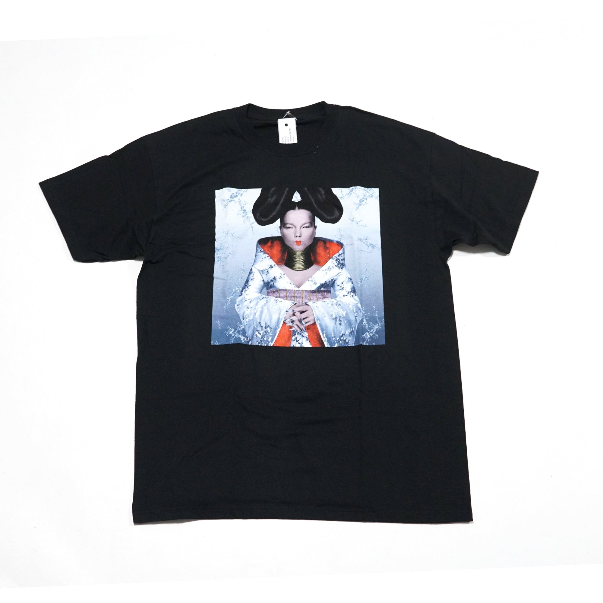 bjk10006 |  HOMOGENIC MENS T-SHIRT – Black | Size:L/XL【BJORK】【MUSIC TEE】【ネコポス選択可能】